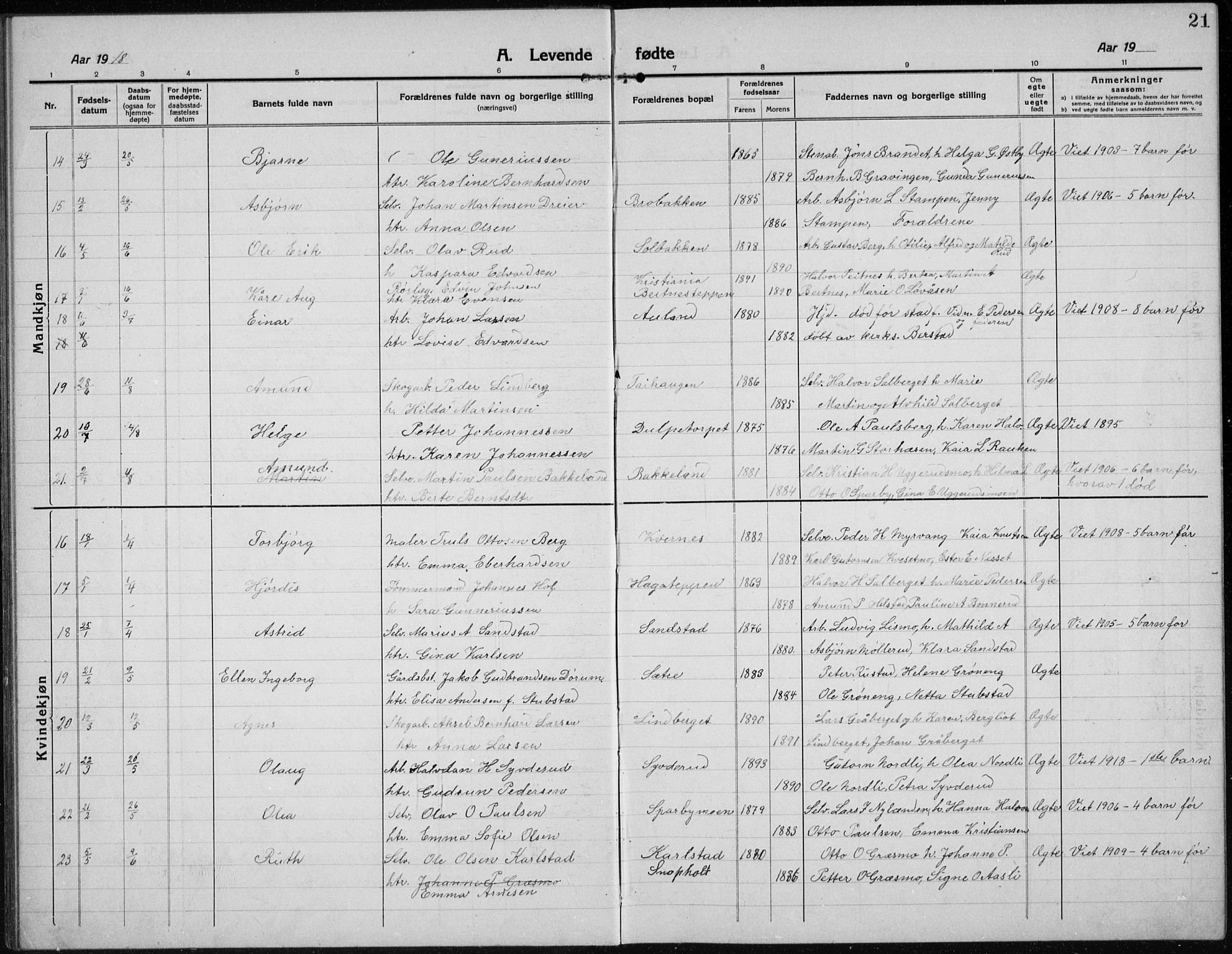 Hof prestekontor, AV/SAH-PREST-038/H/Ha/Hab/L0002: Klokkerbok nr. 2, 1915-1934, s. 21