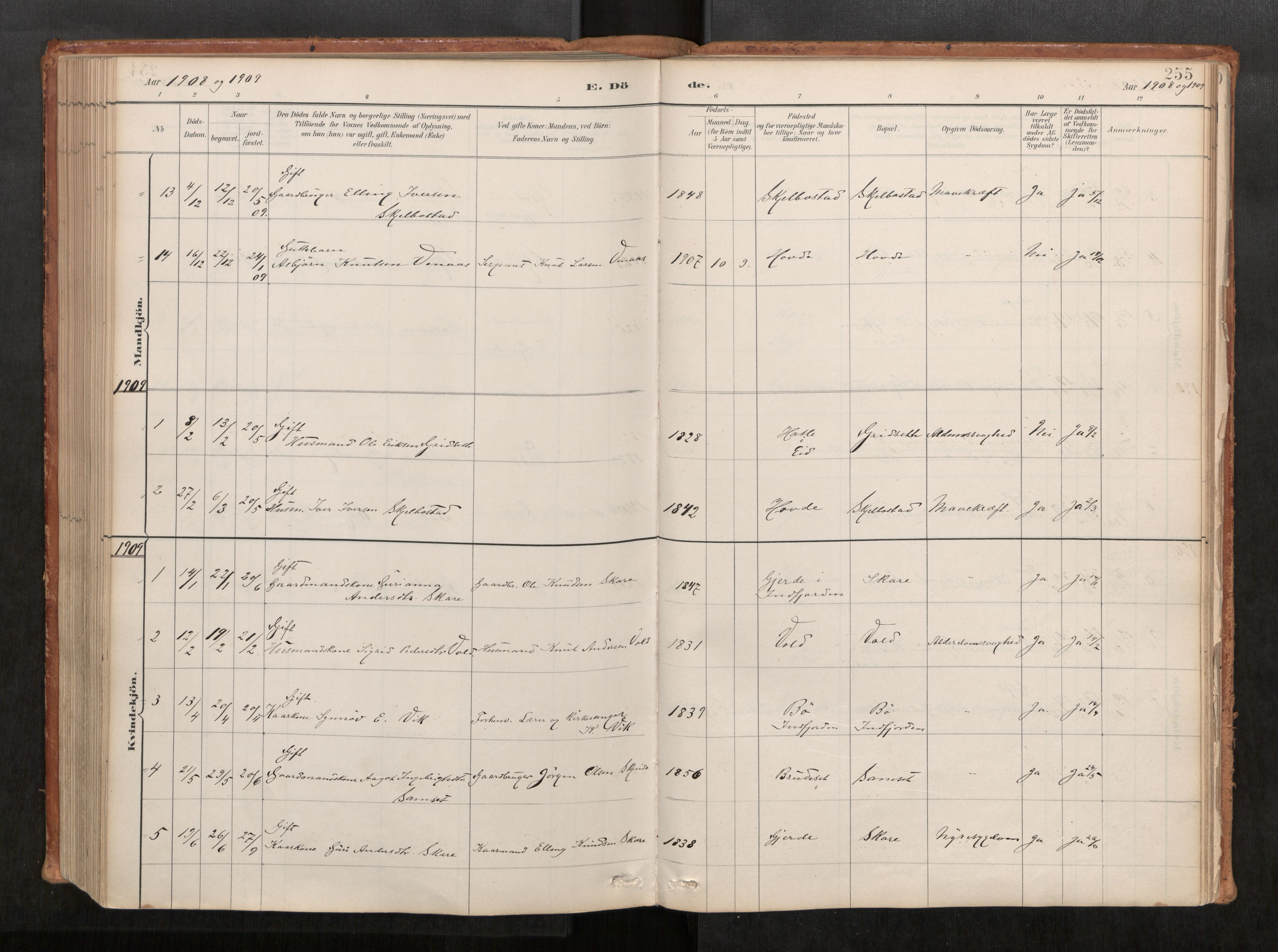 Ministerialprotokoller, klokkerbøker og fødselsregistre - Møre og Romsdal, AV/SAT-A-1454/543/L0568: Ministerialbok nr. 543A03, 1885-1915, s. 255