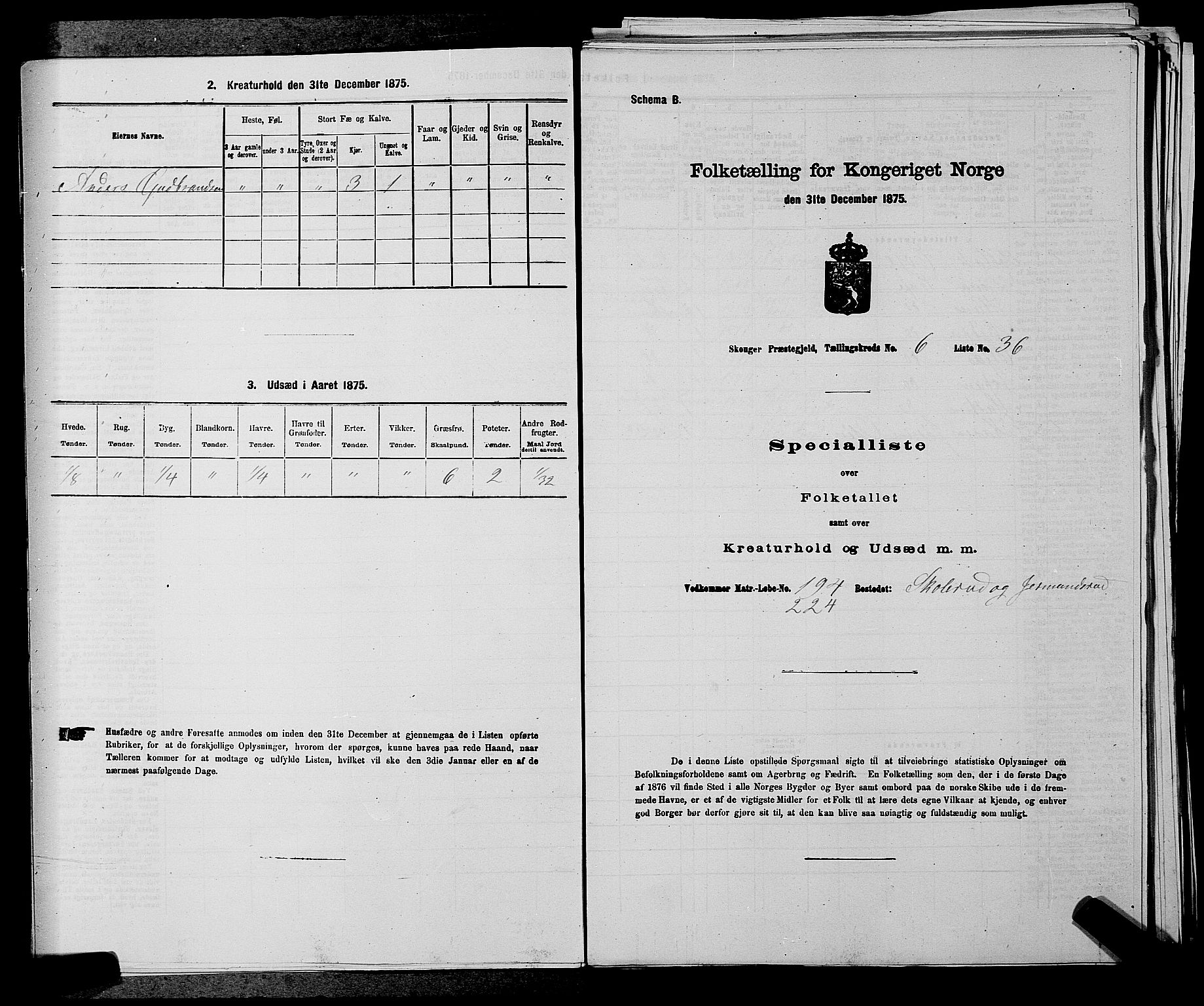 SAKO, Folketelling 1875 for 0712P Skoger prestegjeld, 1875, s. 902