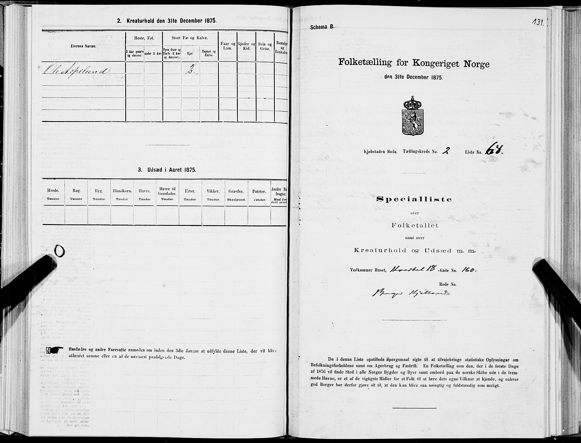 SAT, Folketelling 1875 for 1804B Bodø prestegjeld, Bodø kjøpstad, 1875, s. 131