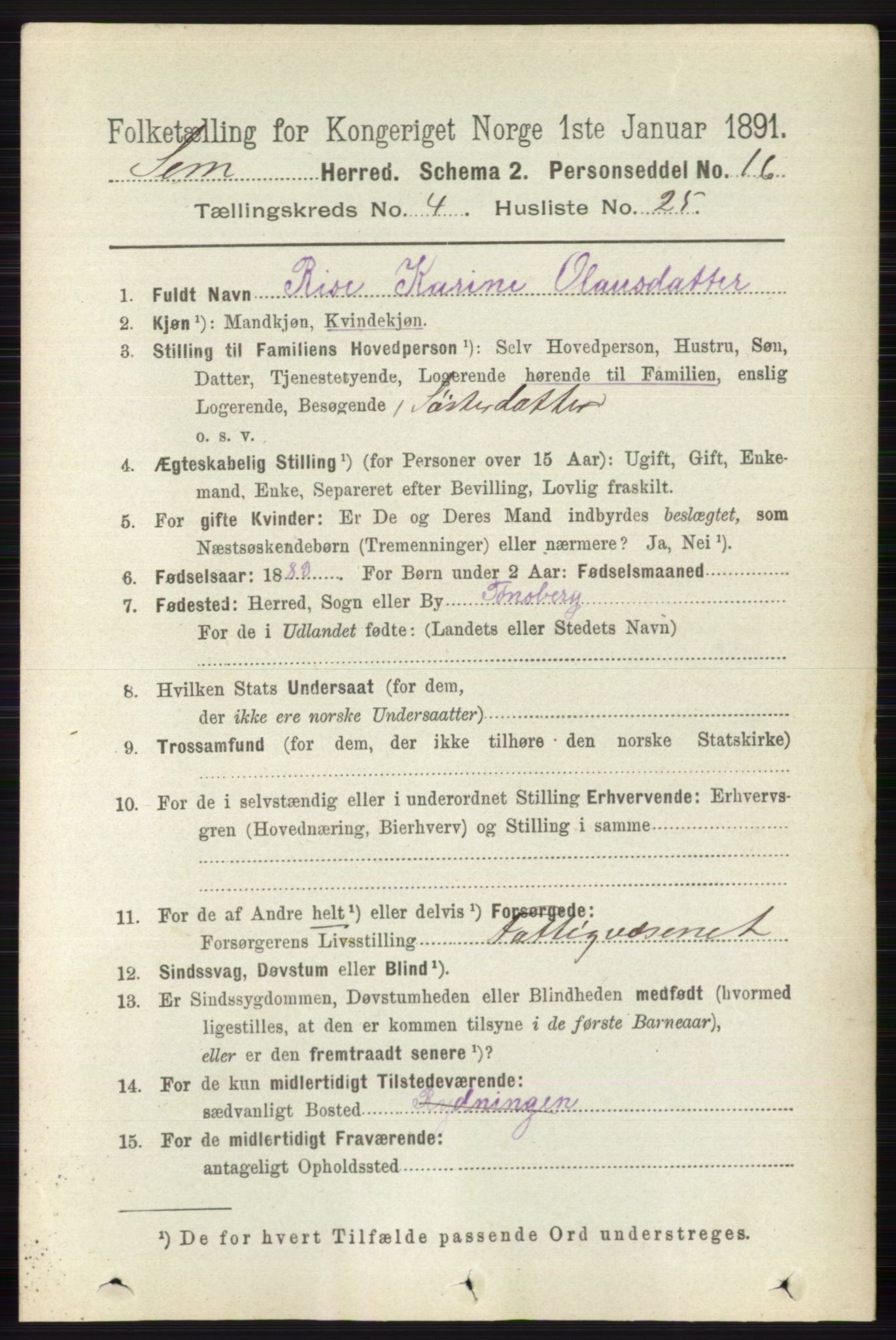 RA, Folketelling 1891 for 0721 Sem herred, 1891, s. 1729