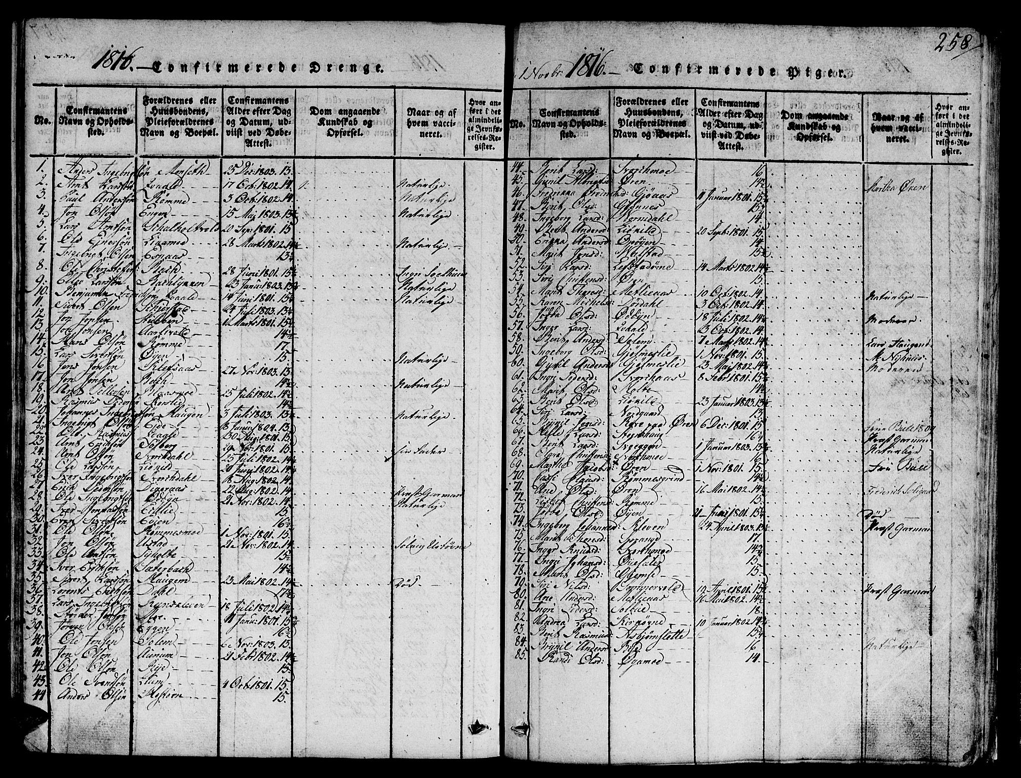 Ministerialprotokoller, klokkerbøker og fødselsregistre - Sør-Trøndelag, AV/SAT-A-1456/668/L0803: Ministerialbok nr. 668A03, 1800-1826, s. 258
