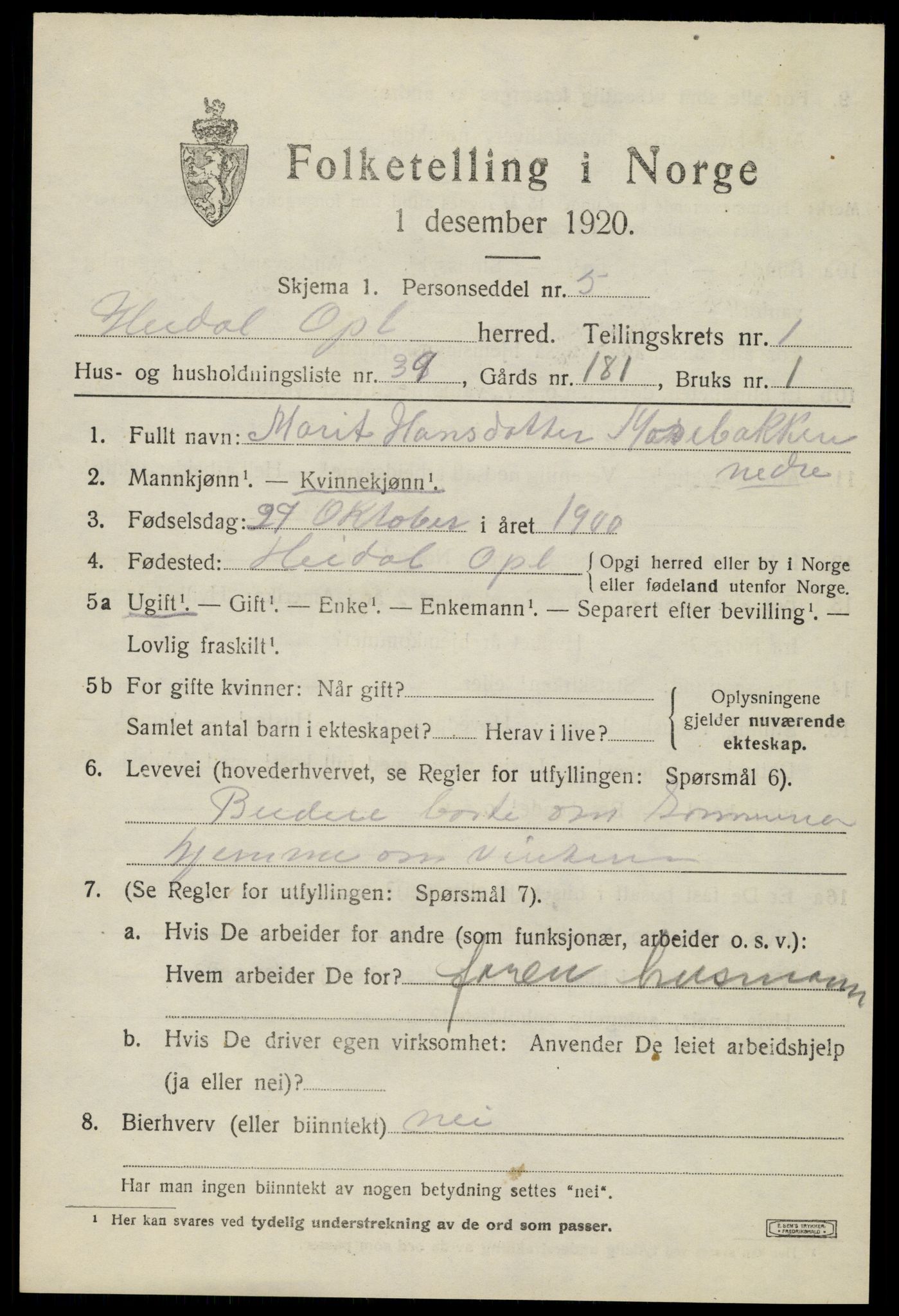 SAH, Folketelling 1920 for 0516 Heidal herred, 1920, s. 916