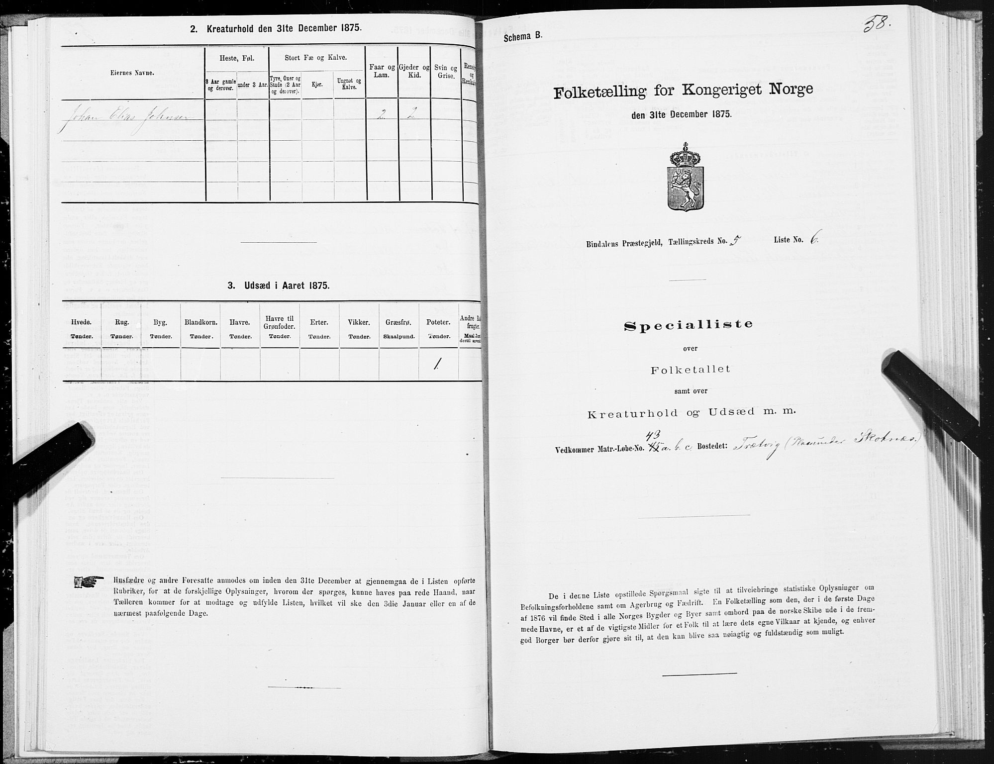 SAT, Folketelling 1875 for 1811P Bindal prestegjeld, 1875, s. 2058