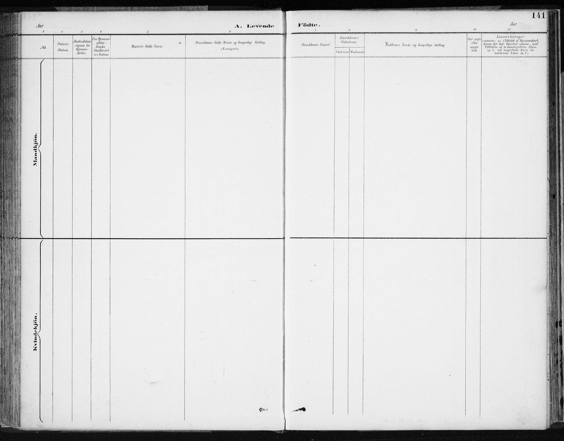 Lyngdal sokneprestkontor, AV/SAK-1111-0029/F/Fa/Fac/L0012: Ministerialbok nr. A 12, 1894-1918, s. 141