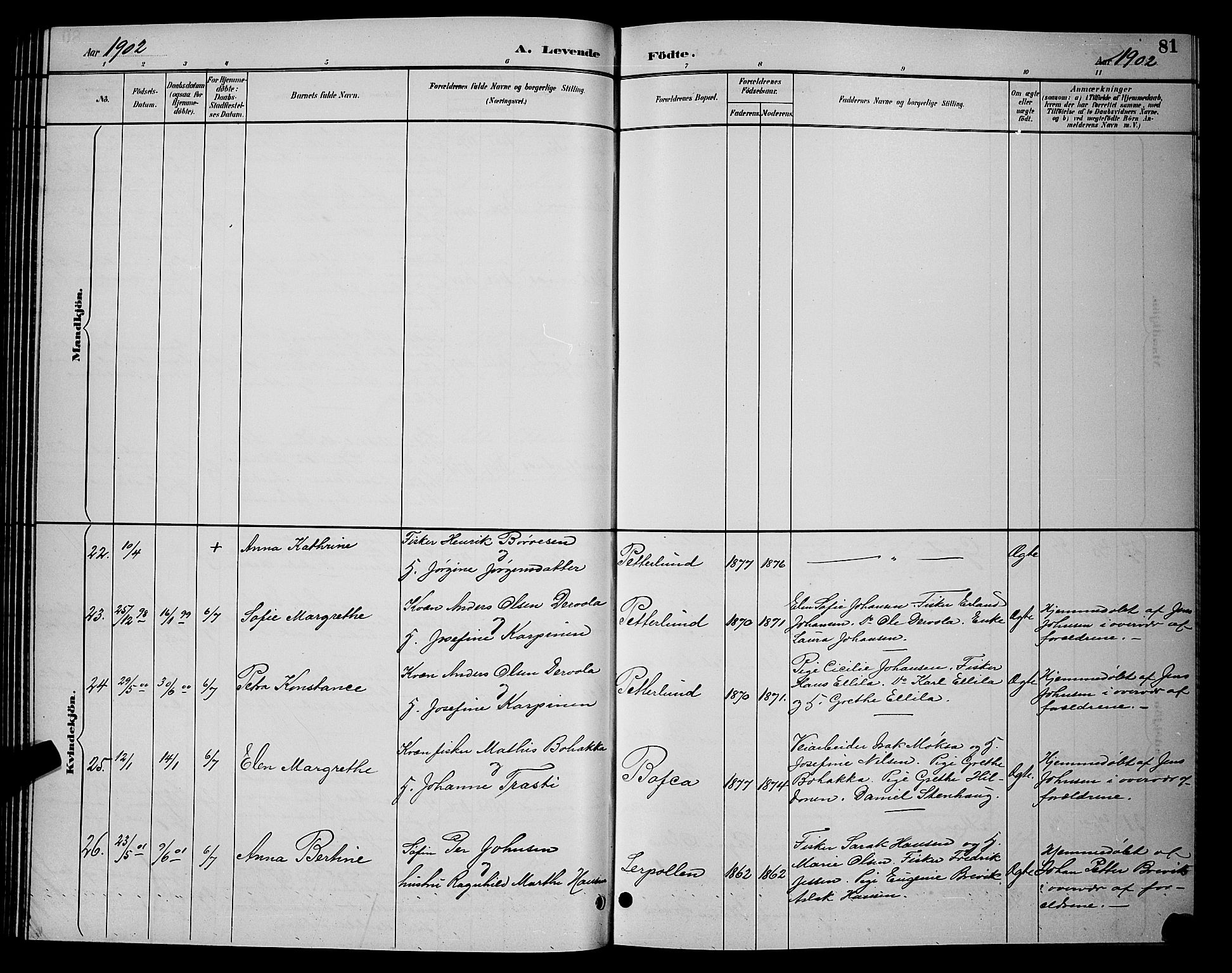 Tana sokneprestkontor, SATØ/S-1334/H/Hb/L0004klokker: Klokkerbok nr. 4, 1890-1903, s. 81