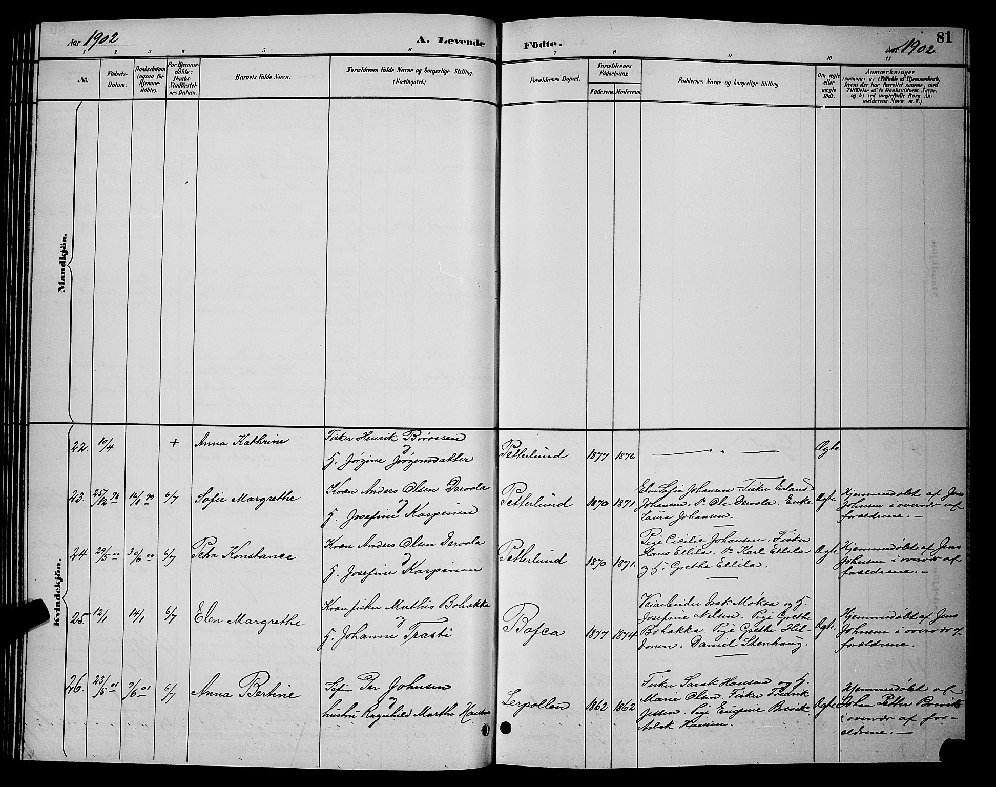 Tana sokneprestkontor, AV/SATØ-S-1334/H/Hb/L0004klokker: Klokkerbok nr. 4, 1890-1903, s. 81