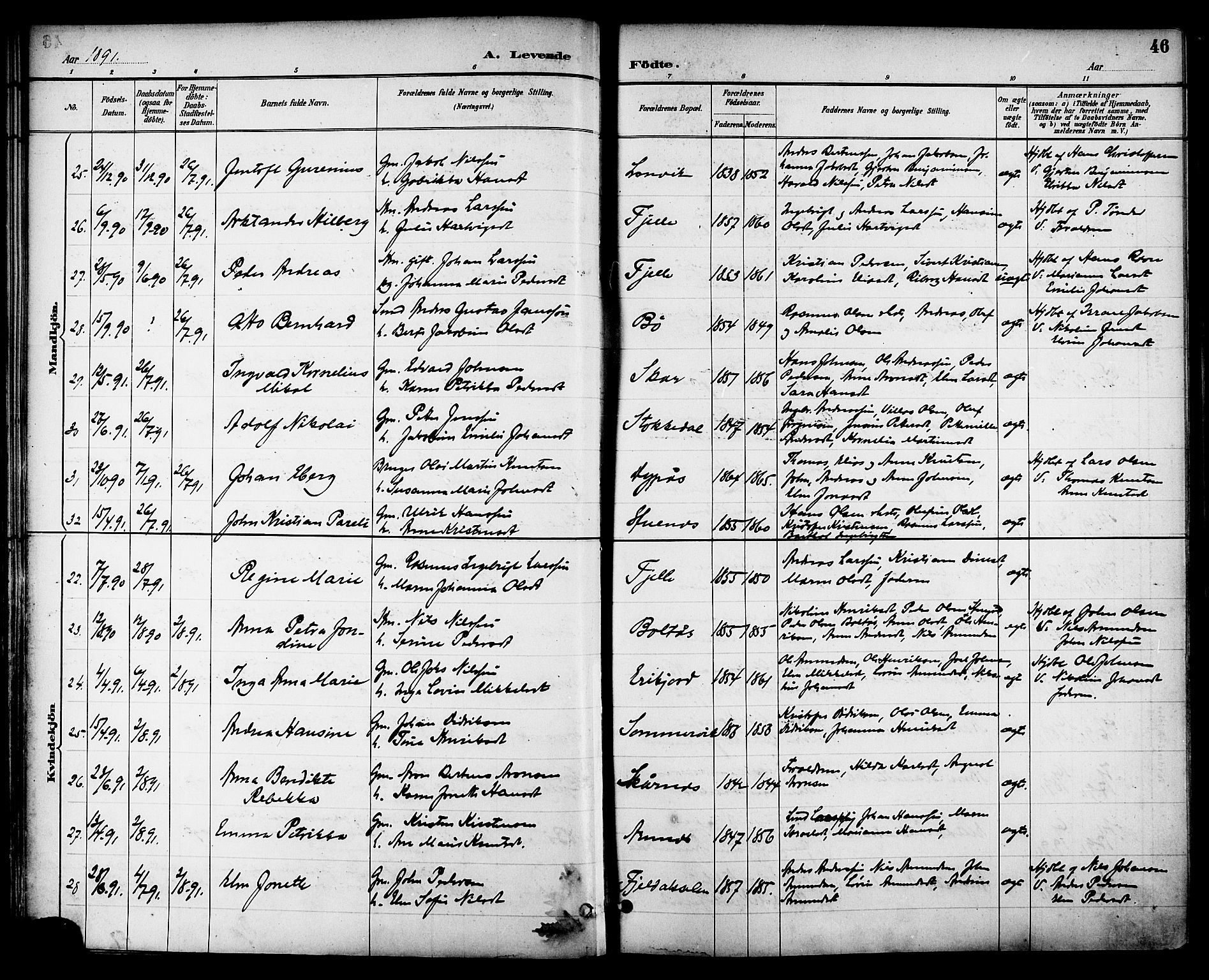 Ministerialprotokoller, klokkerbøker og fødselsregistre - Nordland, AV/SAT-A-1459/863/L0898: Ministerialbok nr. 863A10, 1886-1897, s. 46