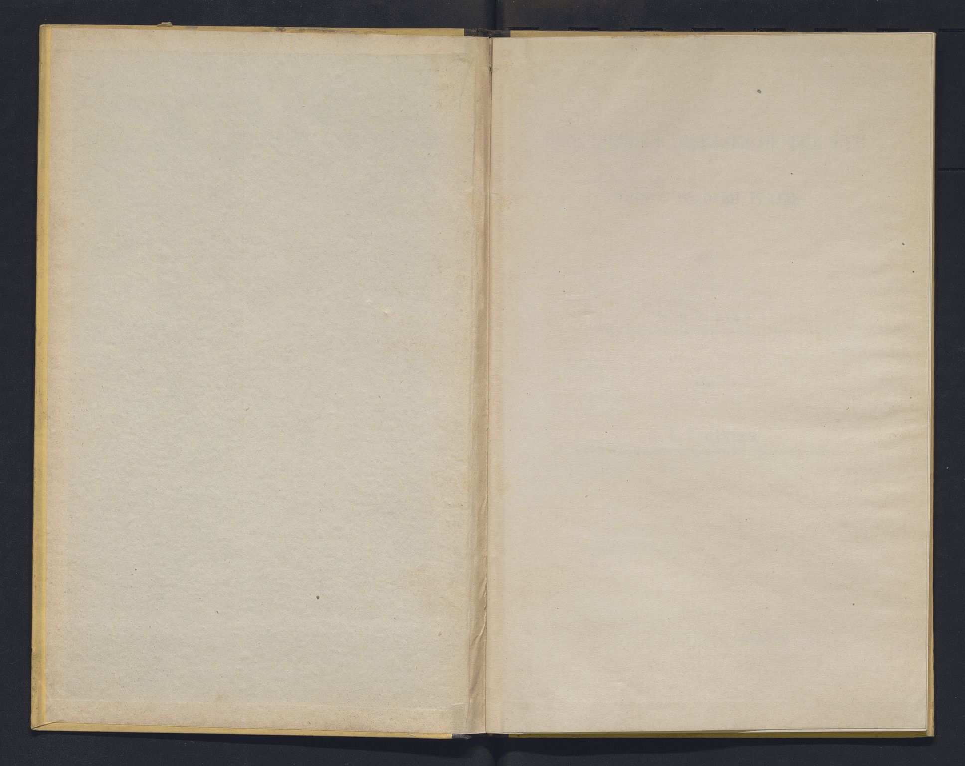 Lepraarkiver - Overlegen for den spedalske sykdom, AV/SAB-A-61001/E/L0001: The Leprous Diseases of the Eye with 6 colored plates by Dr. O.B. Bull and Dr. G.A. Hansen, 1873