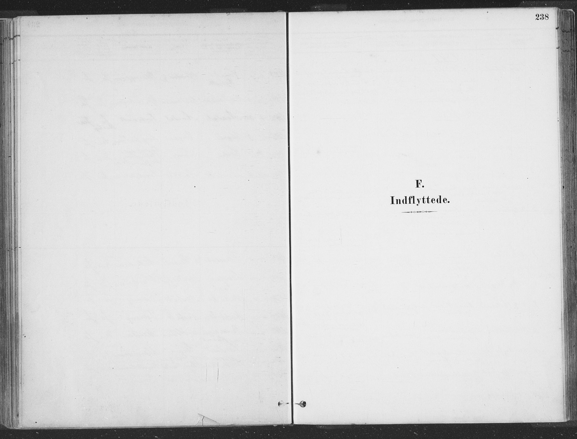 Hå sokneprestkontor, SAST/A-101801/001/30BA/L0010: Ministerialbok nr. A 9, 1879-1896, s. 238
