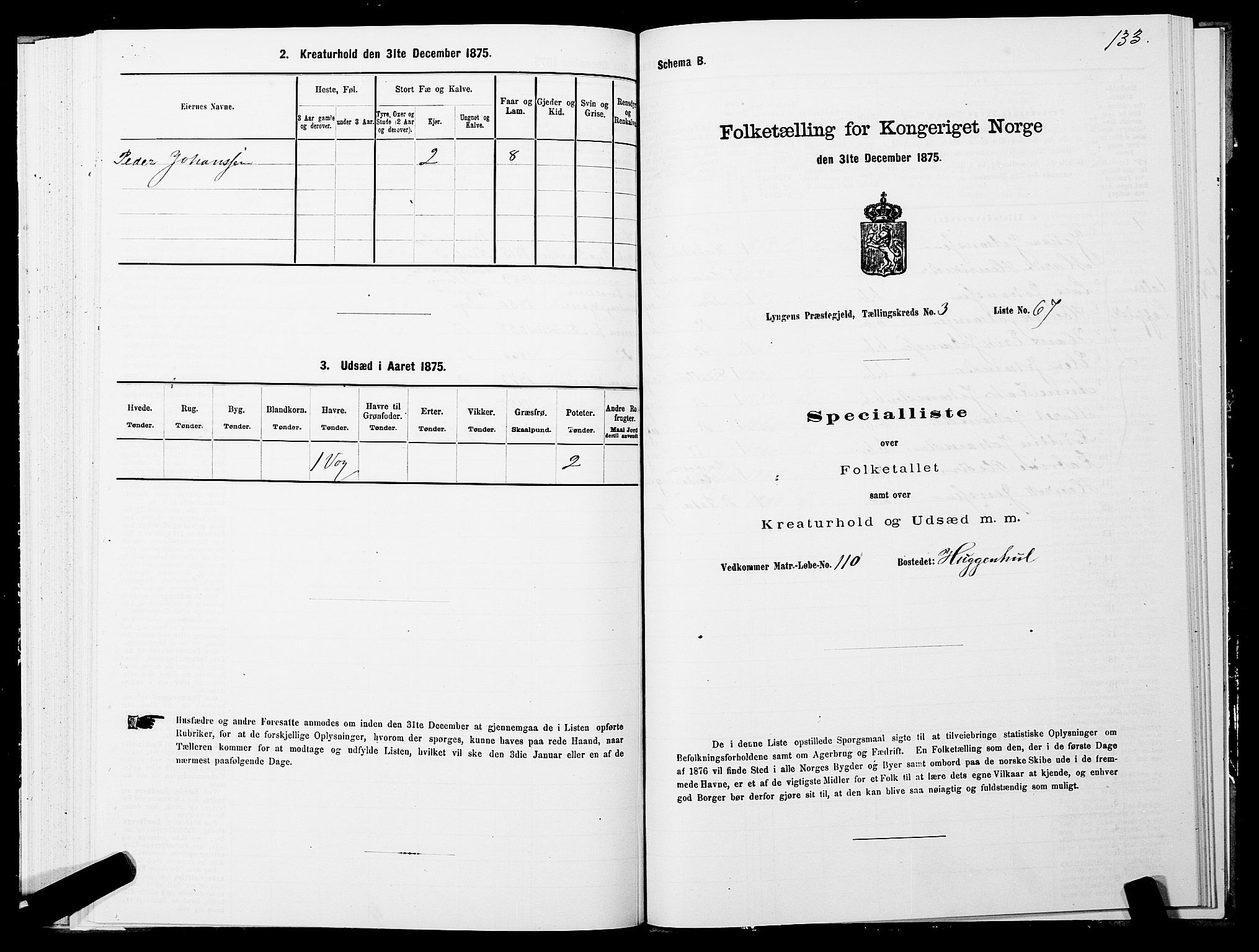 SATØ, Folketelling 1875 for 1938P Lyngen prestegjeld, 1875, s. 3133