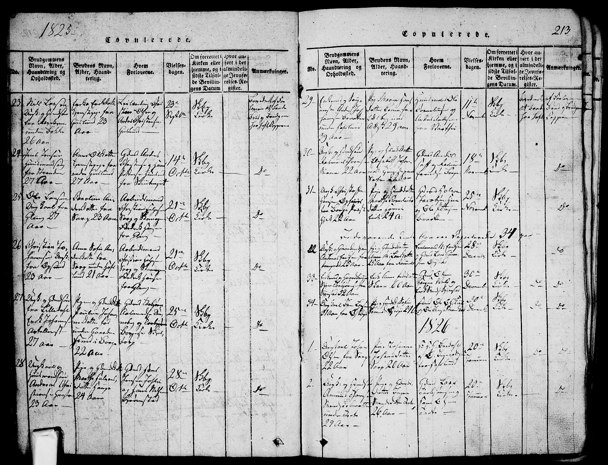 Skjeberg prestekontor Kirkebøker, AV/SAO-A-10923/G/Ga/L0001: Klokkerbok nr. I 1, 1815-1830, s. 213