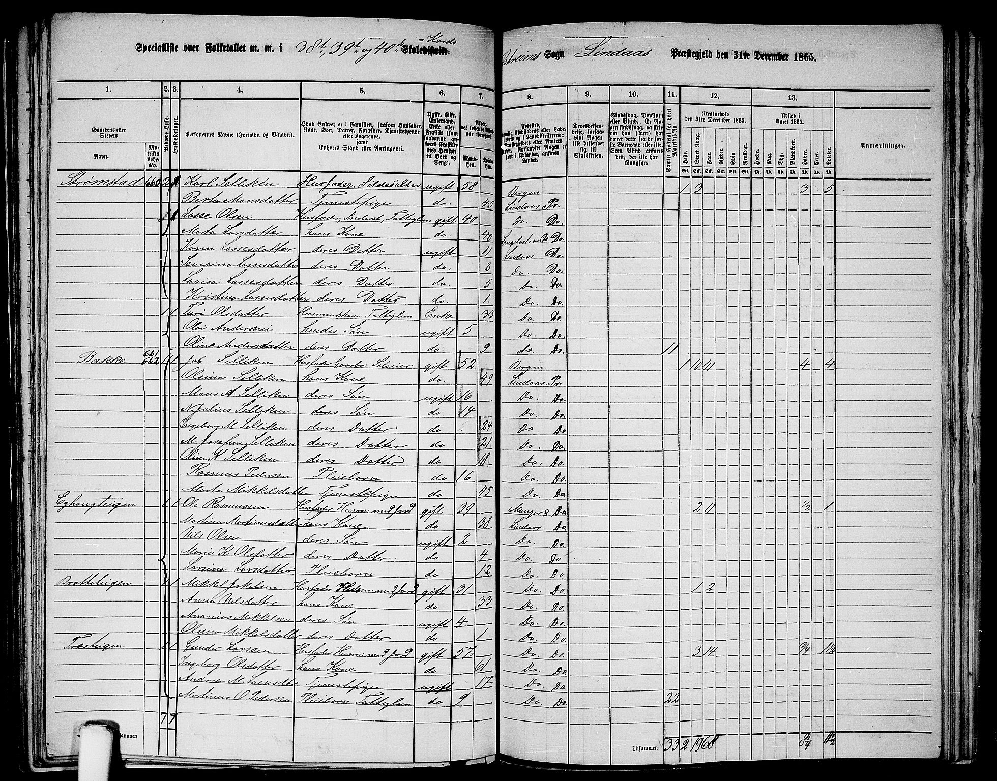 RA, Folketelling 1865 for 1263P Lindås prestegjeld, 1865, s. 245