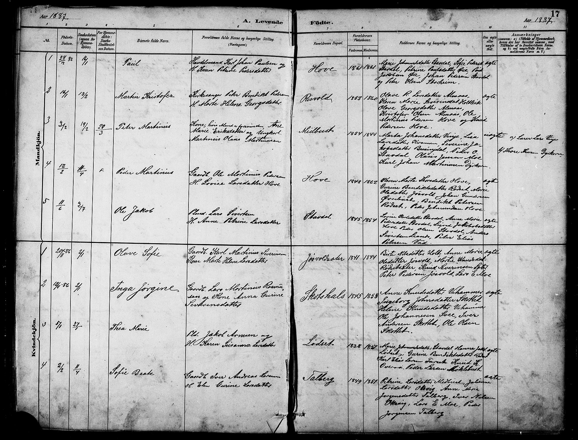 Ministerialprotokoller, klokkerbøker og fødselsregistre - Møre og Romsdal, AV/SAT-A-1454/521/L0302: Klokkerbok nr. 521C03, 1882-1907, s. 17