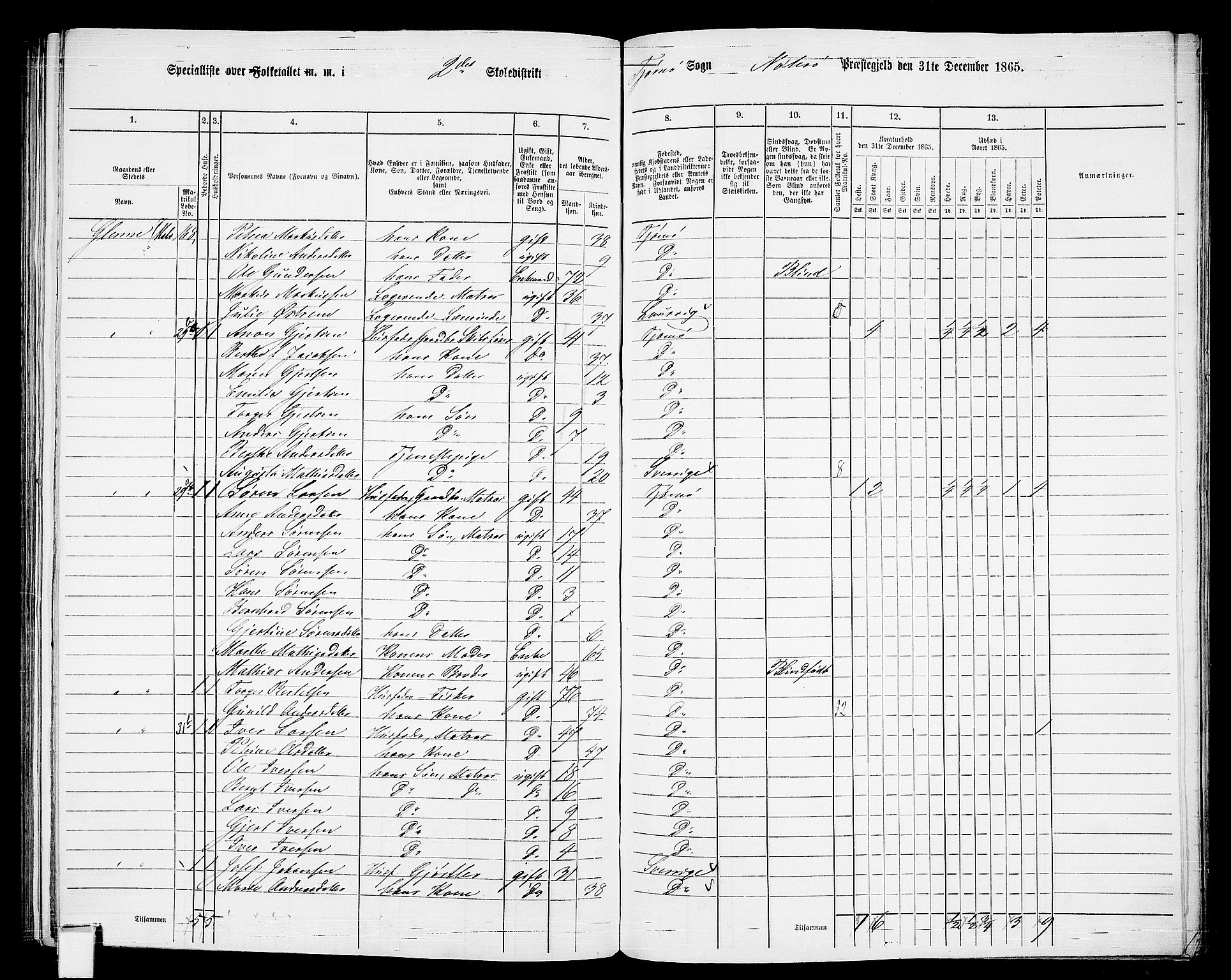 RA, Folketelling 1865 for 0722P Nøtterøy prestegjeld, 1865, s. 241