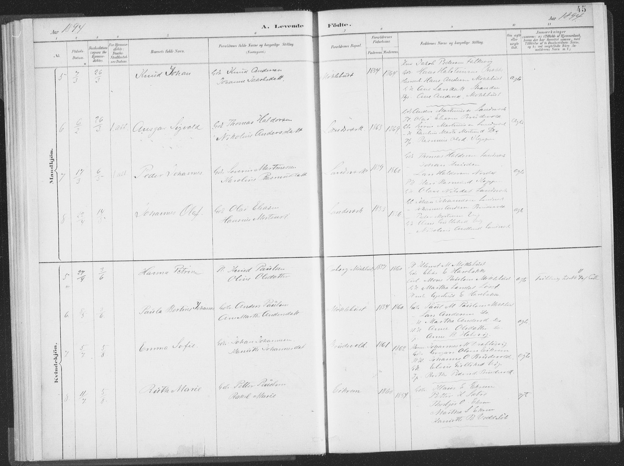 Ministerialprotokoller, klokkerbøker og fødselsregistre - Møre og Romsdal, AV/SAT-A-1454/502/L0025: Ministerialbok nr. 502A03, 1885-1909, s. 45