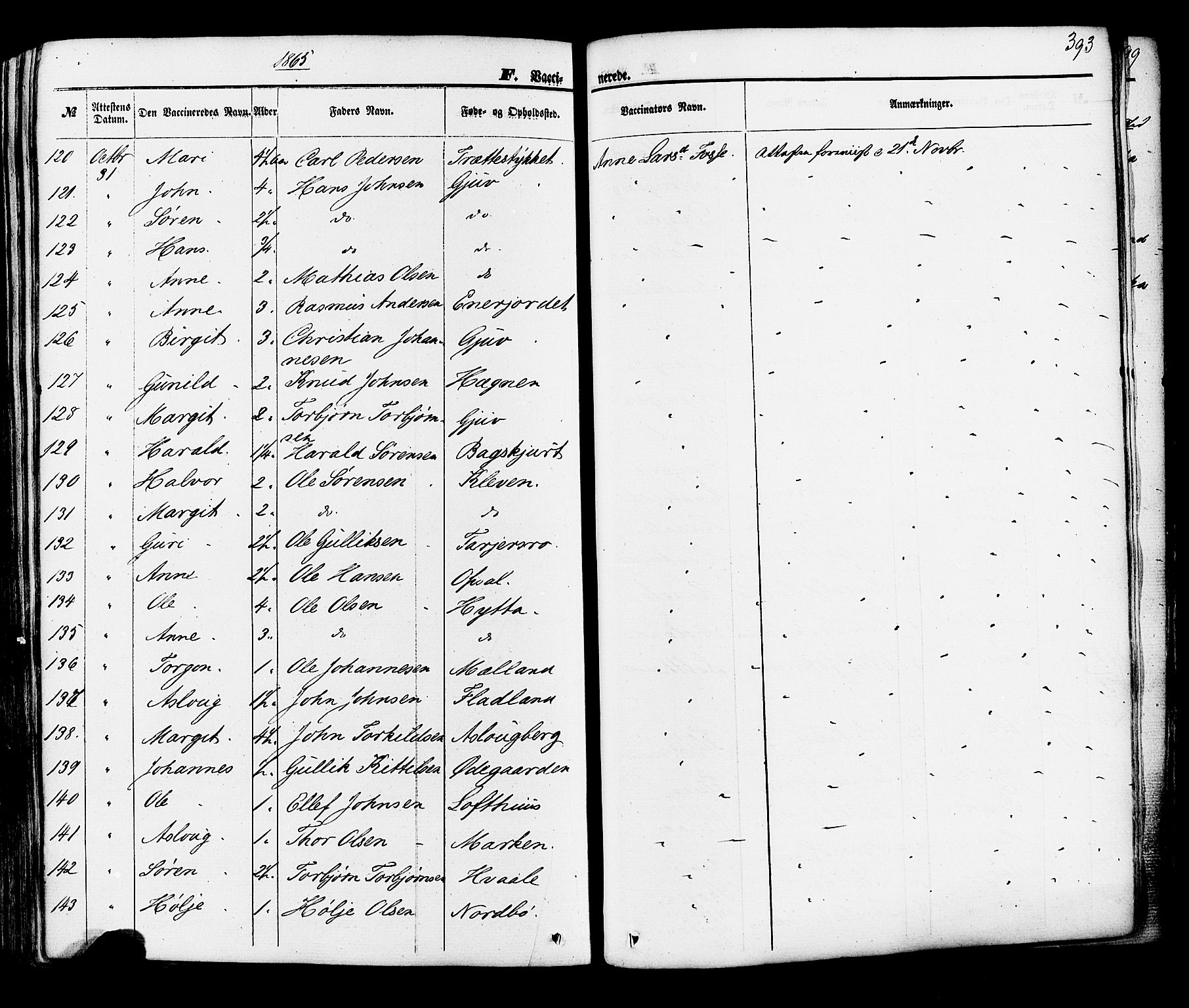 Hjartdal kirkebøker, AV/SAKO-A-270/F/Fa/L0009: Ministerialbok nr. I 9, 1860-1879, s. 393