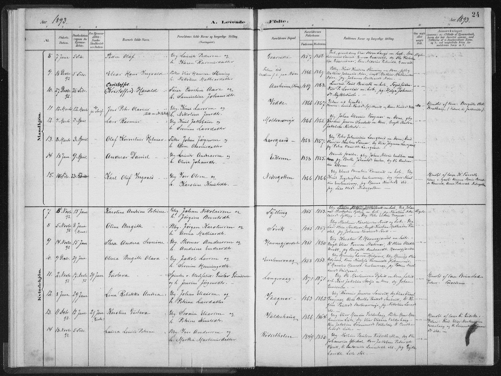 Ministerialprotokoller, klokkerbøker og fødselsregistre - Møre og Romsdal, AV/SAT-A-1454/528/L0405: Ministerialbok nr. 528A14, 1891-1906, s. 24