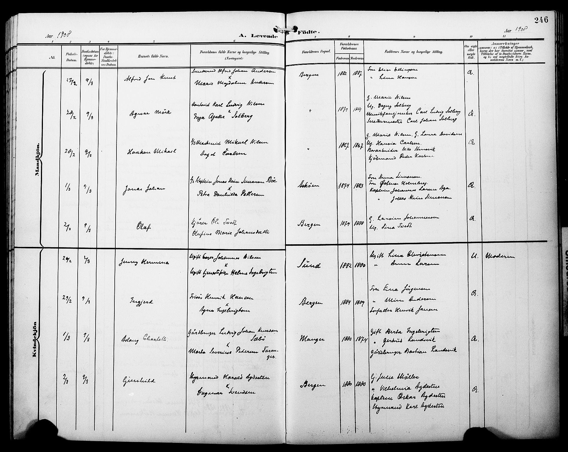 Fødselsstiftelsens sokneprestembete*, SAB/-: Klokkerbok nr. A 1, 1900-1909, s. 246