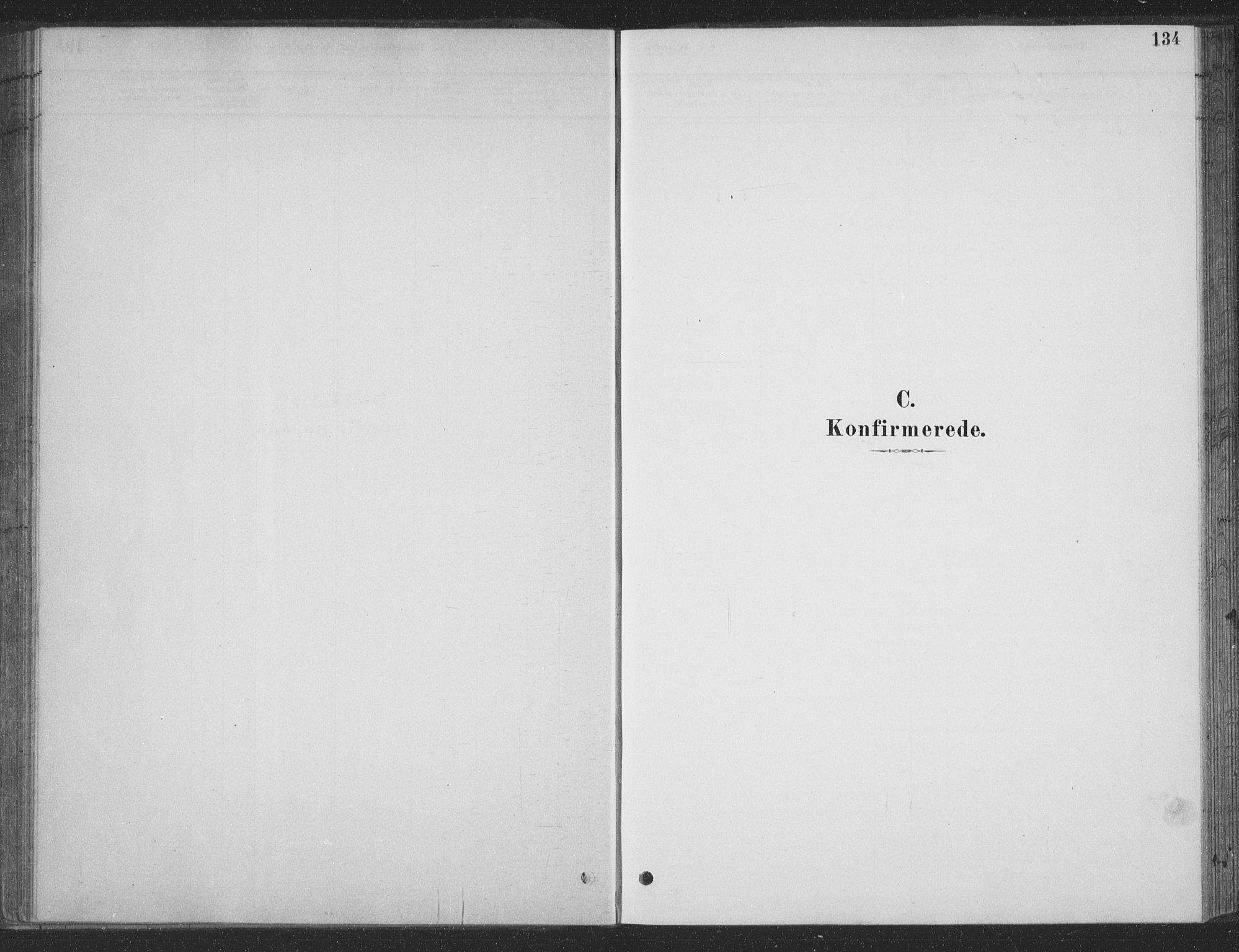 Ministerialprotokoller, klokkerbøker og fødselsregistre - Nordland, SAT/A-1459/835/L0532: Klokkerbok nr. 835C04, 1880-1905, s. 134