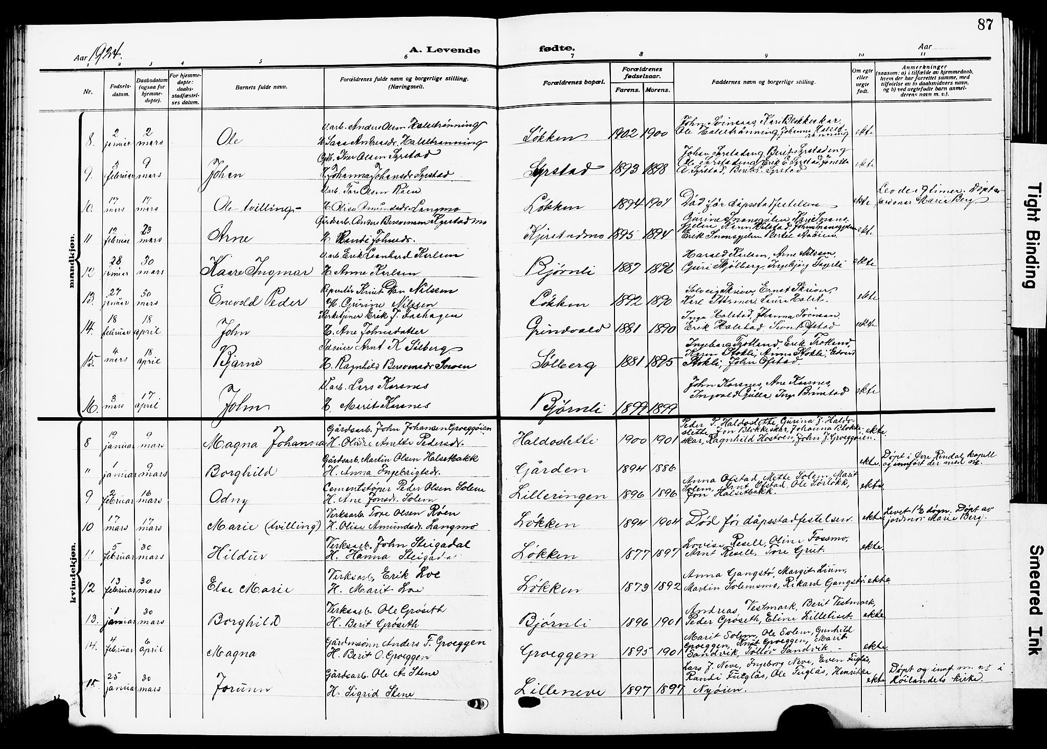 Ministerialprotokoller, klokkerbøker og fødselsregistre - Sør-Trøndelag, AV/SAT-A-1456/672/L0865: Klokkerbok nr. 672C04, 1914-1928, s. 87