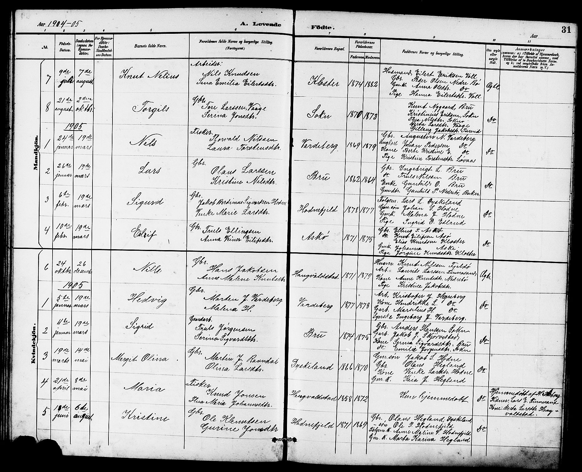 Rennesøy sokneprestkontor, SAST/A -101827/H/Ha/Hab/L0011: Klokkerbok nr. B 10, 1891-1908, s. 31