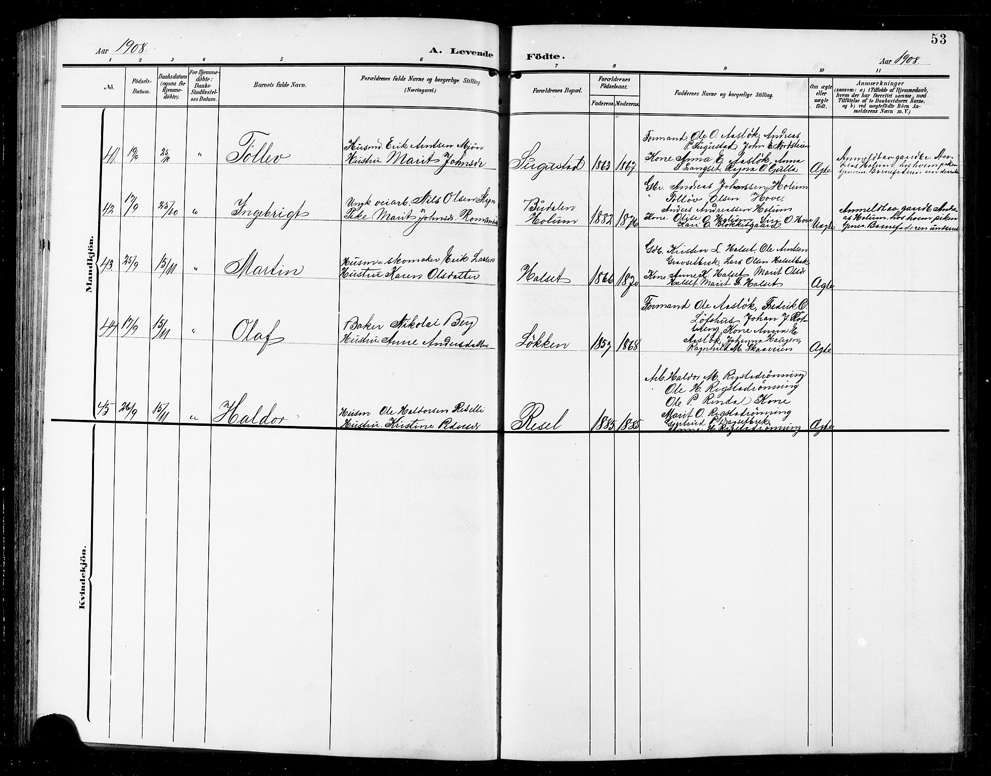 Ministerialprotokoller, klokkerbøker og fødselsregistre - Sør-Trøndelag, AV/SAT-A-1456/672/L0864: Klokkerbok nr. 672C03, 1902-1914, s. 53