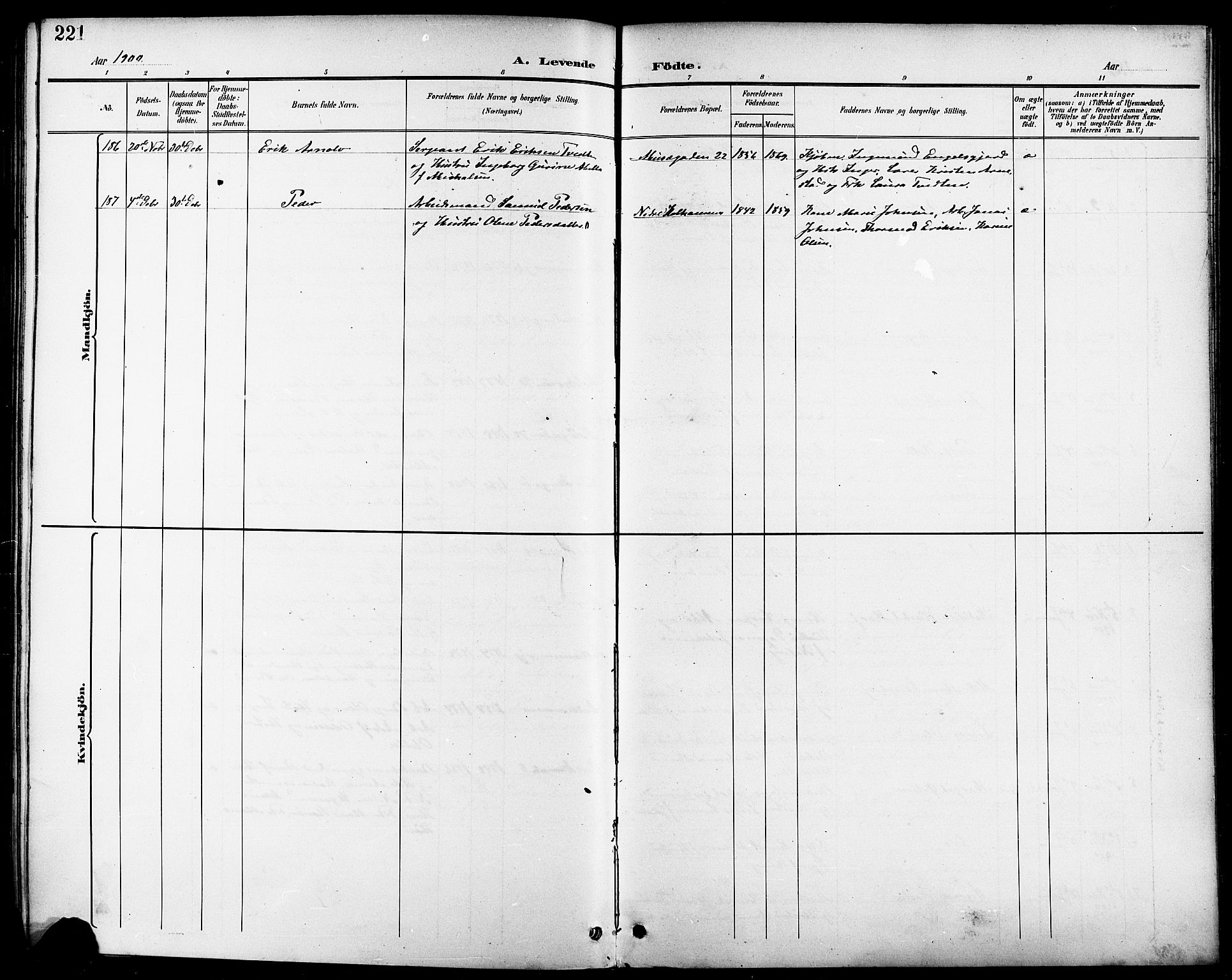 Domkirken sokneprestkontor, SAST/A-101812/001/30/30BB/L0016: Klokkerbok nr. B 16, 1891-1902, s. 221