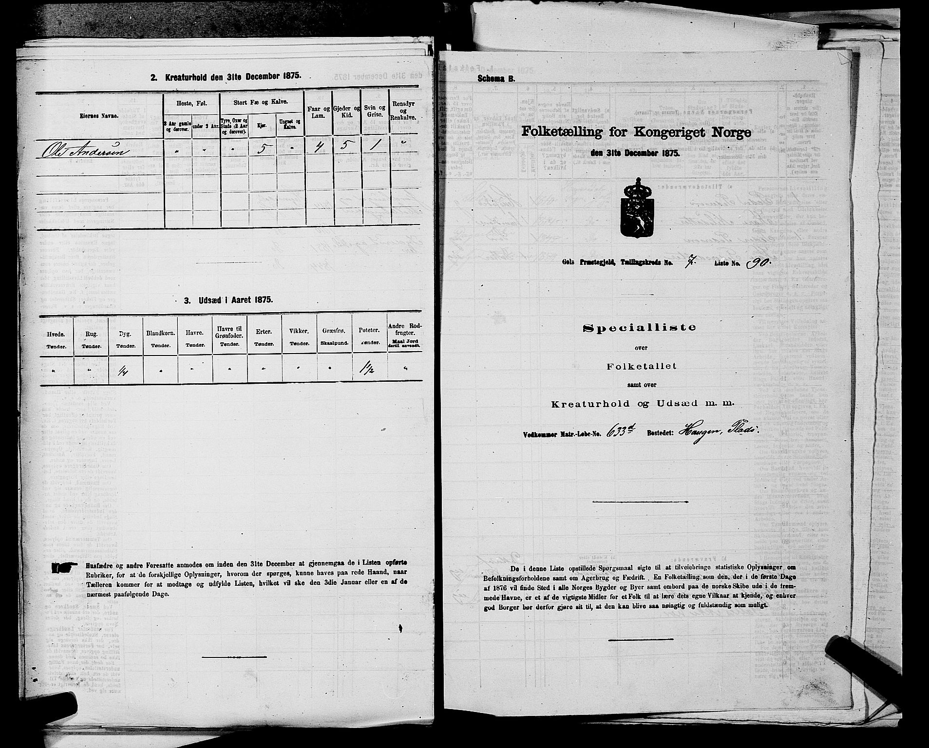 SAKO, Folketelling 1875 for 0617P Gol prestegjeld, 1875, s. 1263