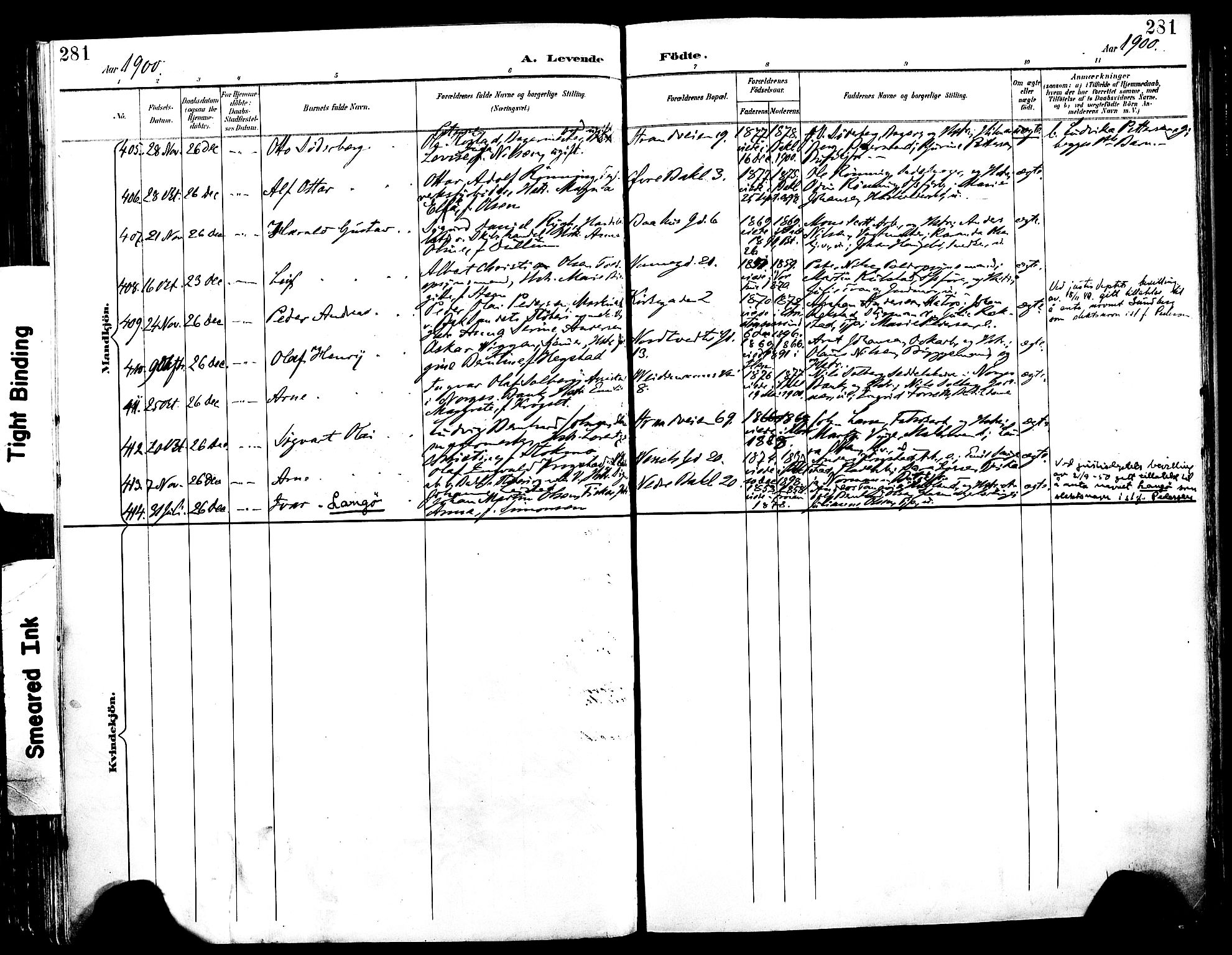 Ministerialprotokoller, klokkerbøker og fødselsregistre - Sør-Trøndelag, SAT/A-1456/604/L0197: Ministerialbok nr. 604A18, 1893-1900, s. 281