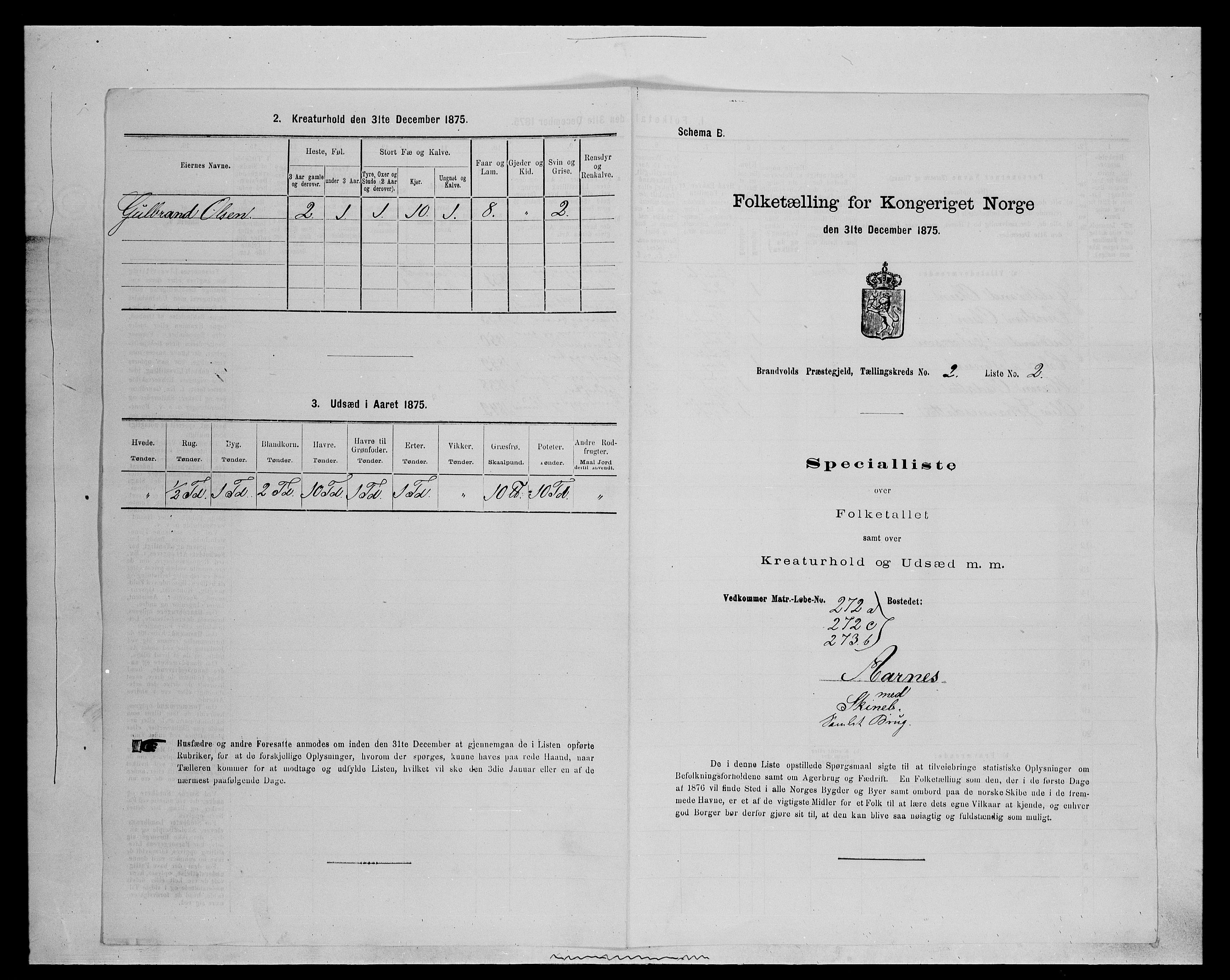 SAH, Folketelling 1875 for 0422P Brandval prestegjeld, 1875, s. 258