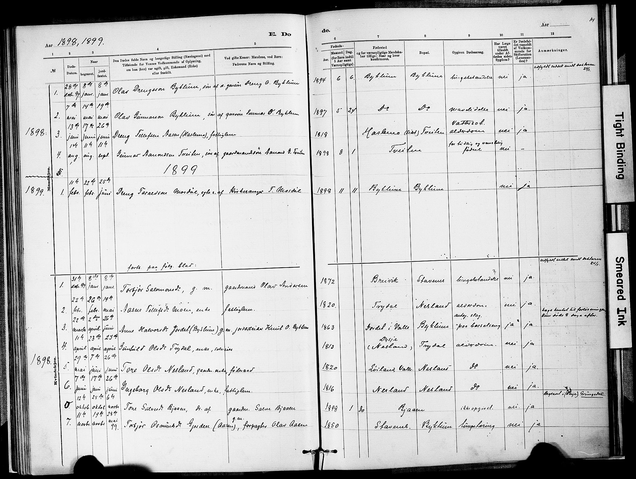Valle sokneprestkontor, AV/SAK-1111-0044/F/Fa/Faa/L0001: Ministerialbok nr. A 1, 1882-1907, s. 114