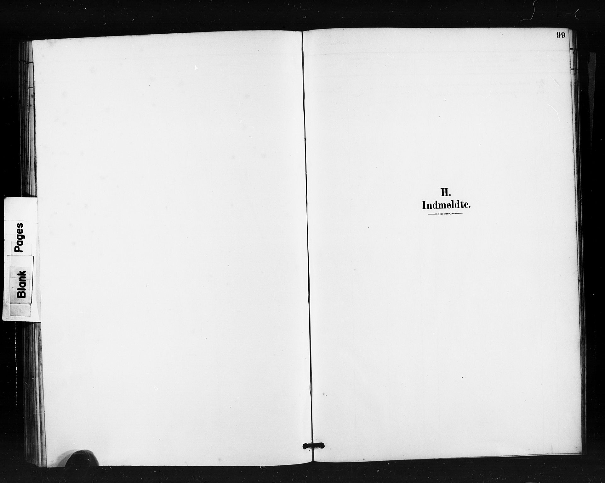 Ministerialprotokoller, klokkerbøker og fødselsregistre - Møre og Romsdal, AV/SAT-A-1454/504/L0056: Ministerialbok nr. 504A03, 1884-1904, s. 99
