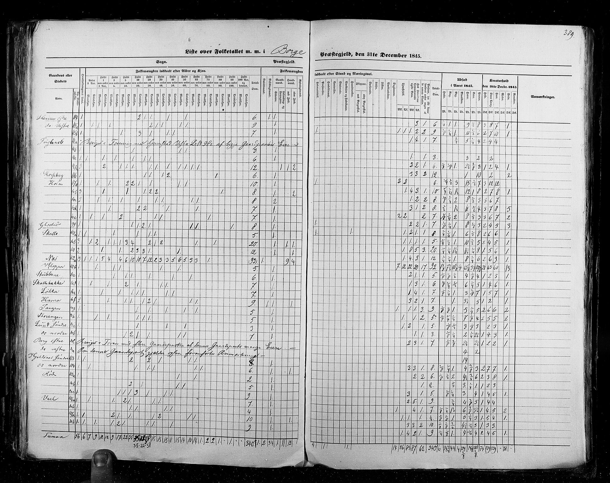 RA, Folketellingen 1845, bind 2: Smålenenes amt og Akershus amt, 1845, s. 389