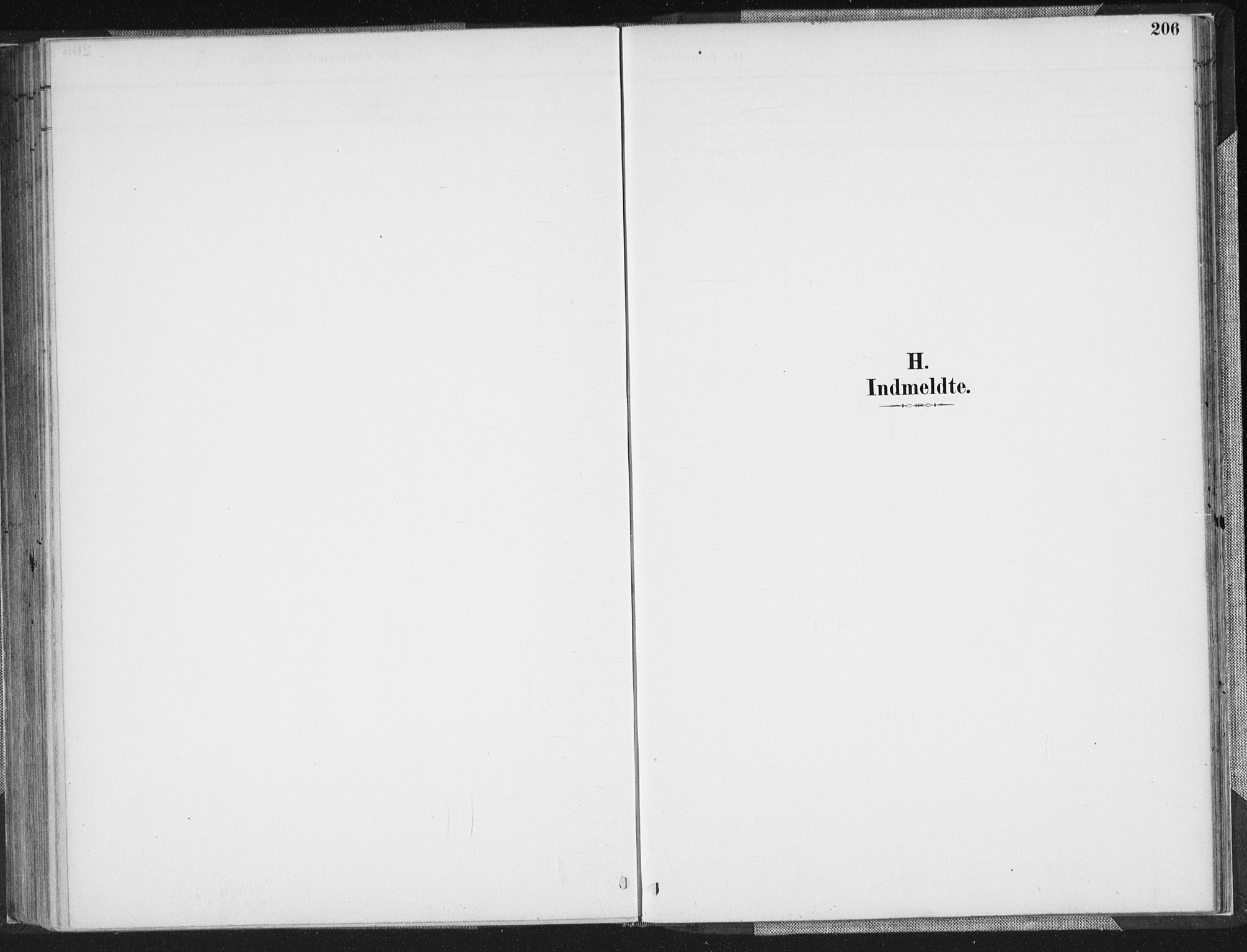 Sør-Audnedal sokneprestkontor, AV/SAK-1111-0039/F/Fa/Faa/L0004: Ministerialbok nr. A 4, 1884-1909, s. 206