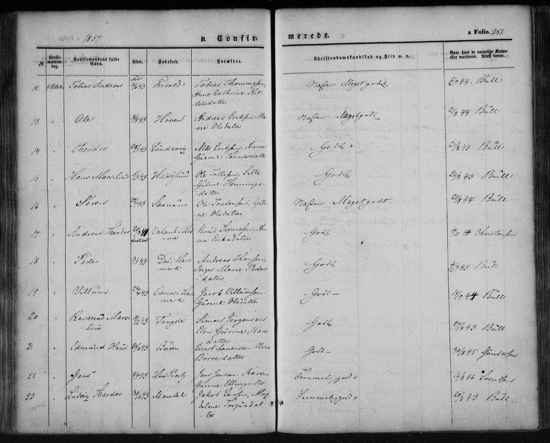 Mandal sokneprestkontor, AV/SAK-1111-0030/F/Fa/Faa/L0013: Ministerialbok nr. A 13, 1847-1859, s. 251