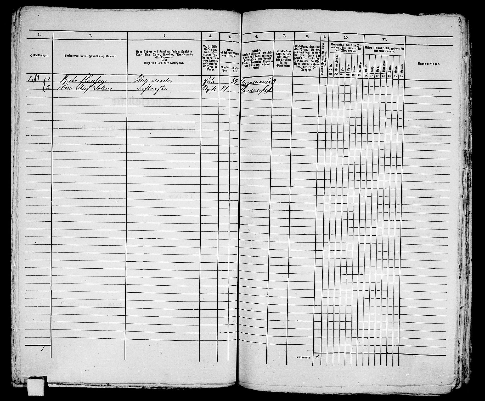 RA, Folketelling 1865 for 2001B Hammerfest prestegjeld, Hammerfest kjøpstad, 1865, s. 208