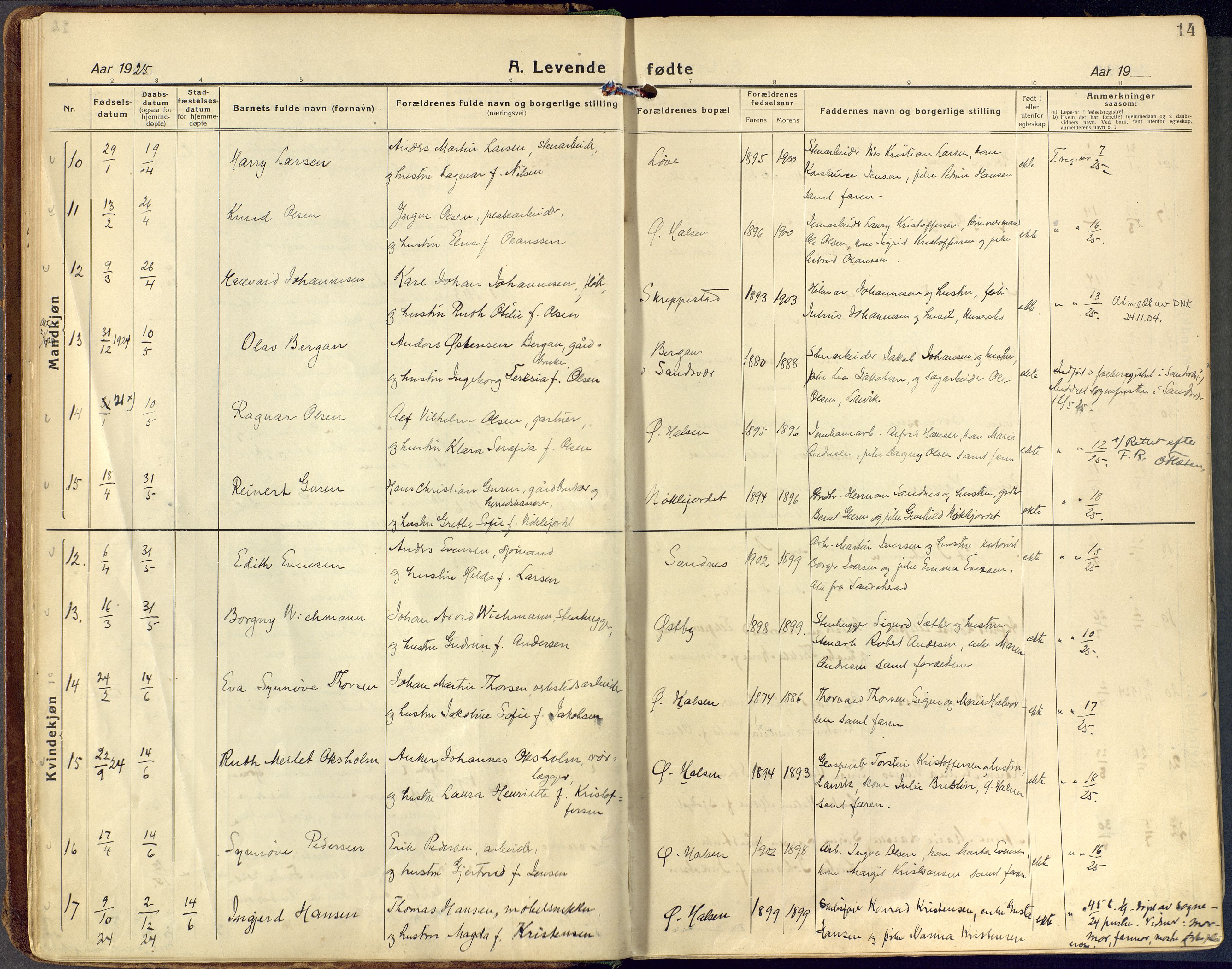 Tjølling kirkebøker, AV/SAKO-A-60/F/Fa/L0011: Ministerialbok nr. 11, 1924-1943, s. 14