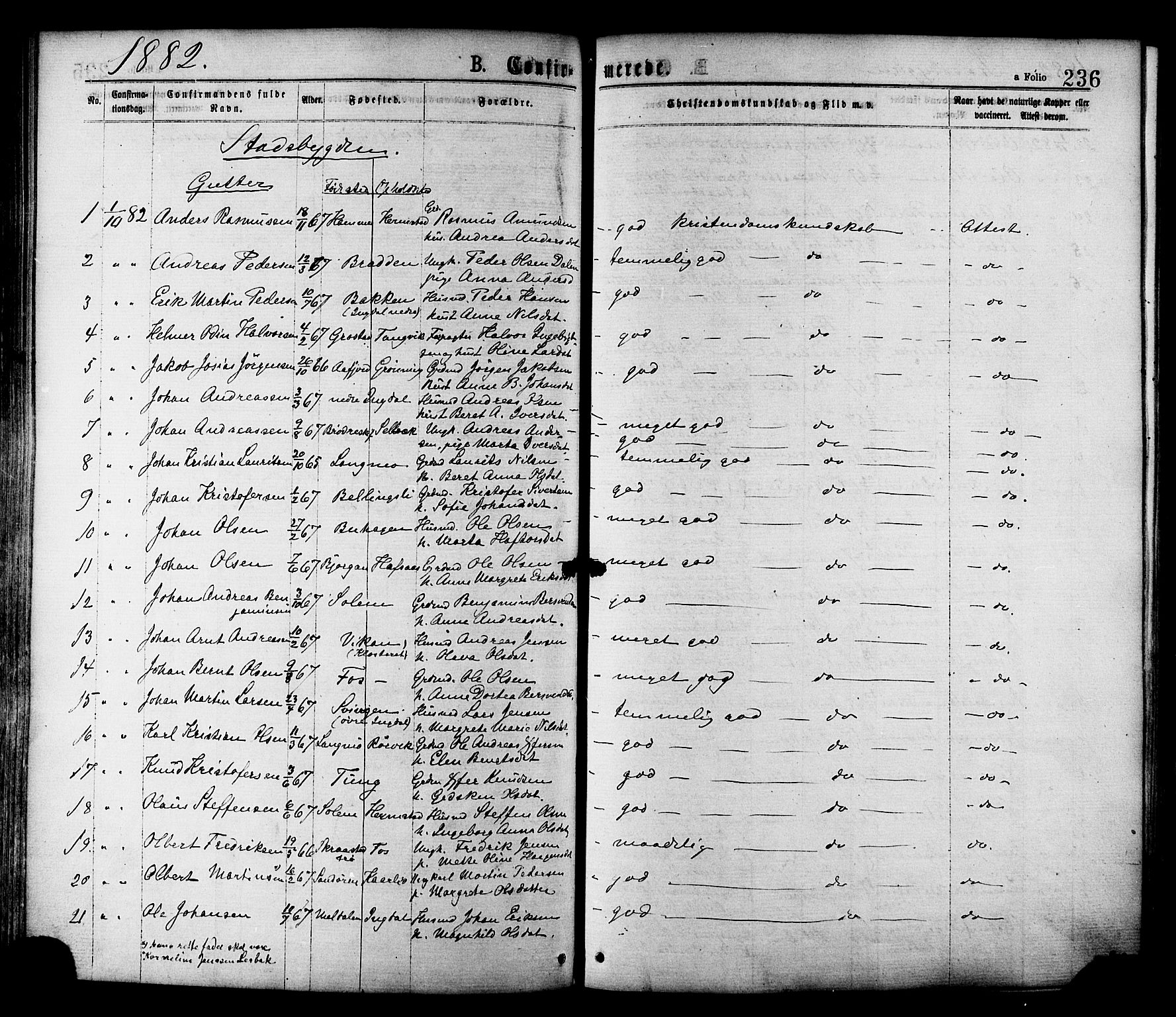 Ministerialprotokoller, klokkerbøker og fødselsregistre - Sør-Trøndelag, AV/SAT-A-1456/646/L0613: Ministerialbok nr. 646A11, 1870-1884, s. 236