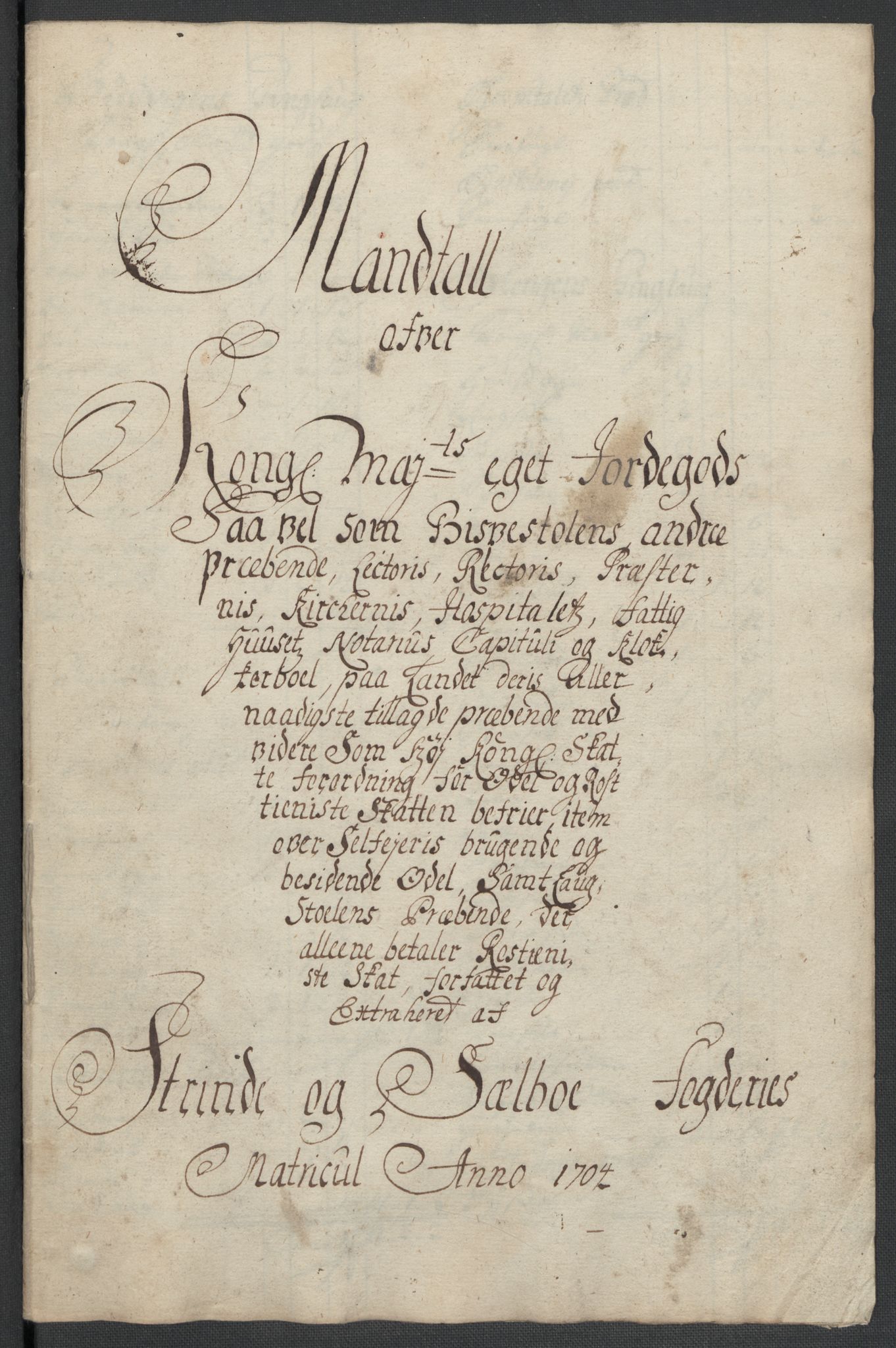 Rentekammeret inntil 1814, Reviderte regnskaper, Fogderegnskap, RA/EA-4092/R61/L4109: Fogderegnskap Strinda og Selbu, 1704-1706, s. 190