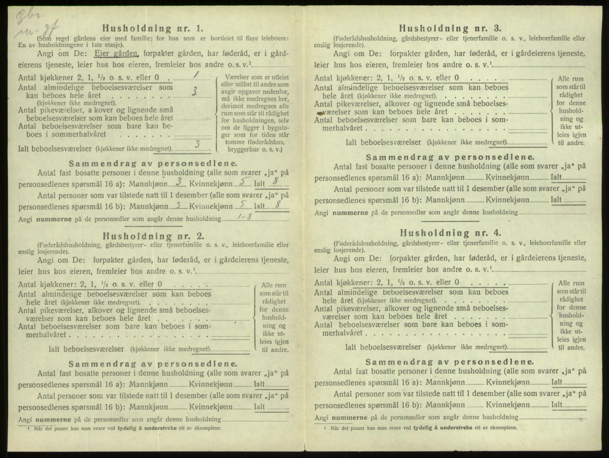 SAB, Folketelling 1920 for 1444 Hornindal herred, 1920, s. 416