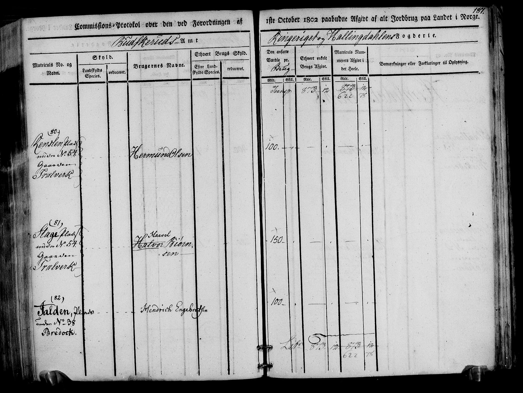 Rentekammeret inntil 1814, Realistisk ordnet avdeling, AV/RA-EA-4070/N/Ne/Nea/L0047: Ringerike og Hallingdal fogderi. Kommisjonsprotokoll for Nes prestegjeld, 1803, s. 190