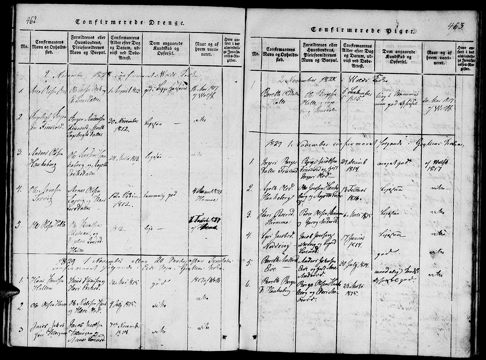 Ministerialprotokoller, klokkerbøker og fødselsregistre - Møre og Romsdal, SAT/A-1454/542/L0551: Ministerialbok nr. 542A01, 1818-1853, s. 462-463