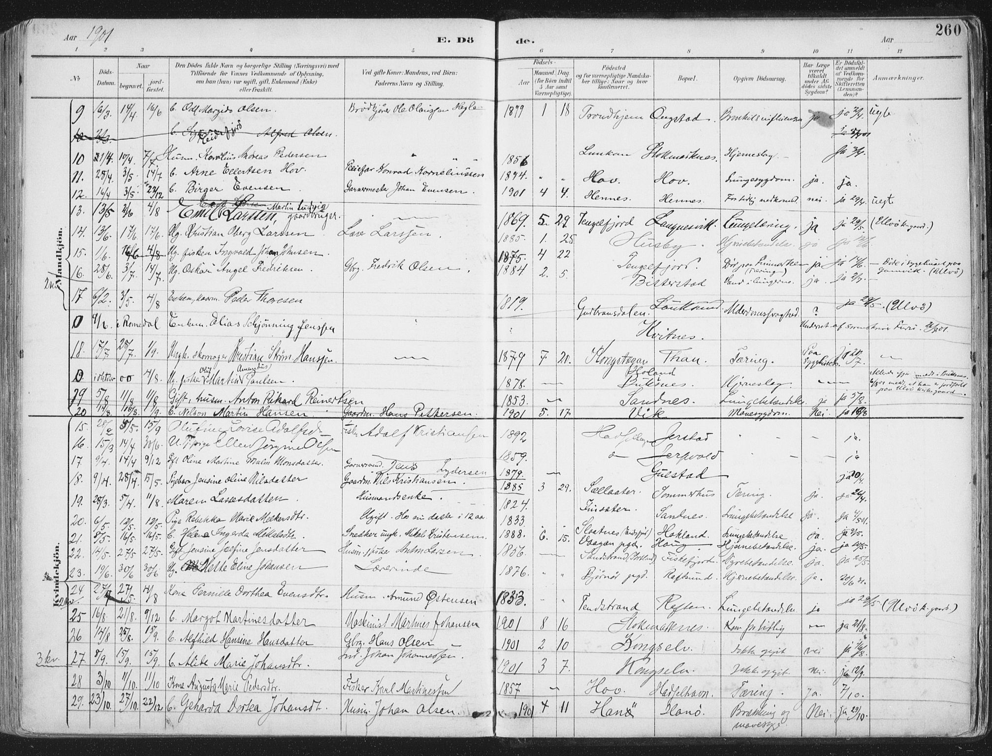 Ministerialprotokoller, klokkerbøker og fødselsregistre - Nordland, AV/SAT-A-1459/888/L1246: Ministerialbok nr. 888A12, 1891-1903, s. 260