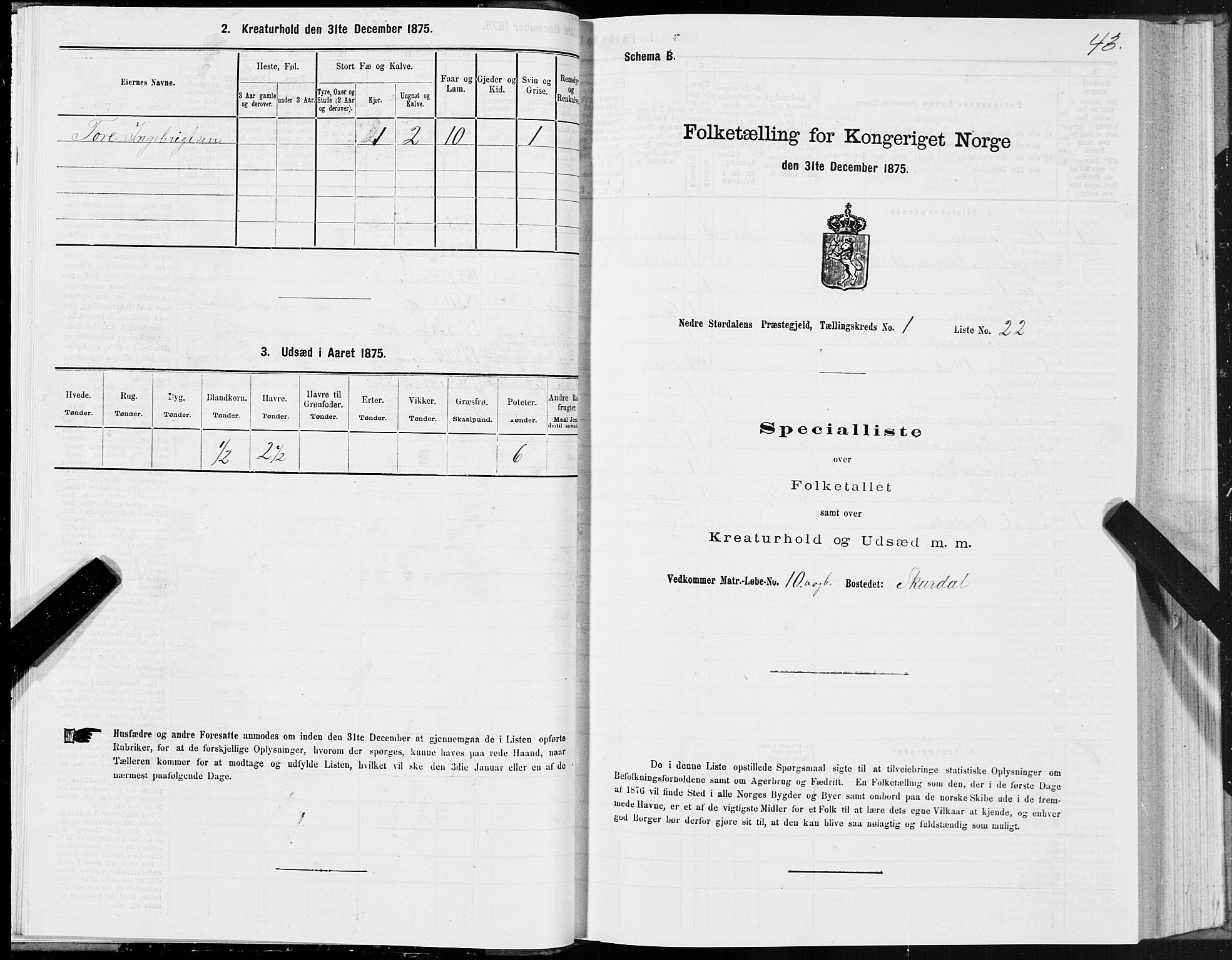SAT, Folketelling 1875 for 1714P Nedre Stjørdal prestegjeld, 1875, s. 1043