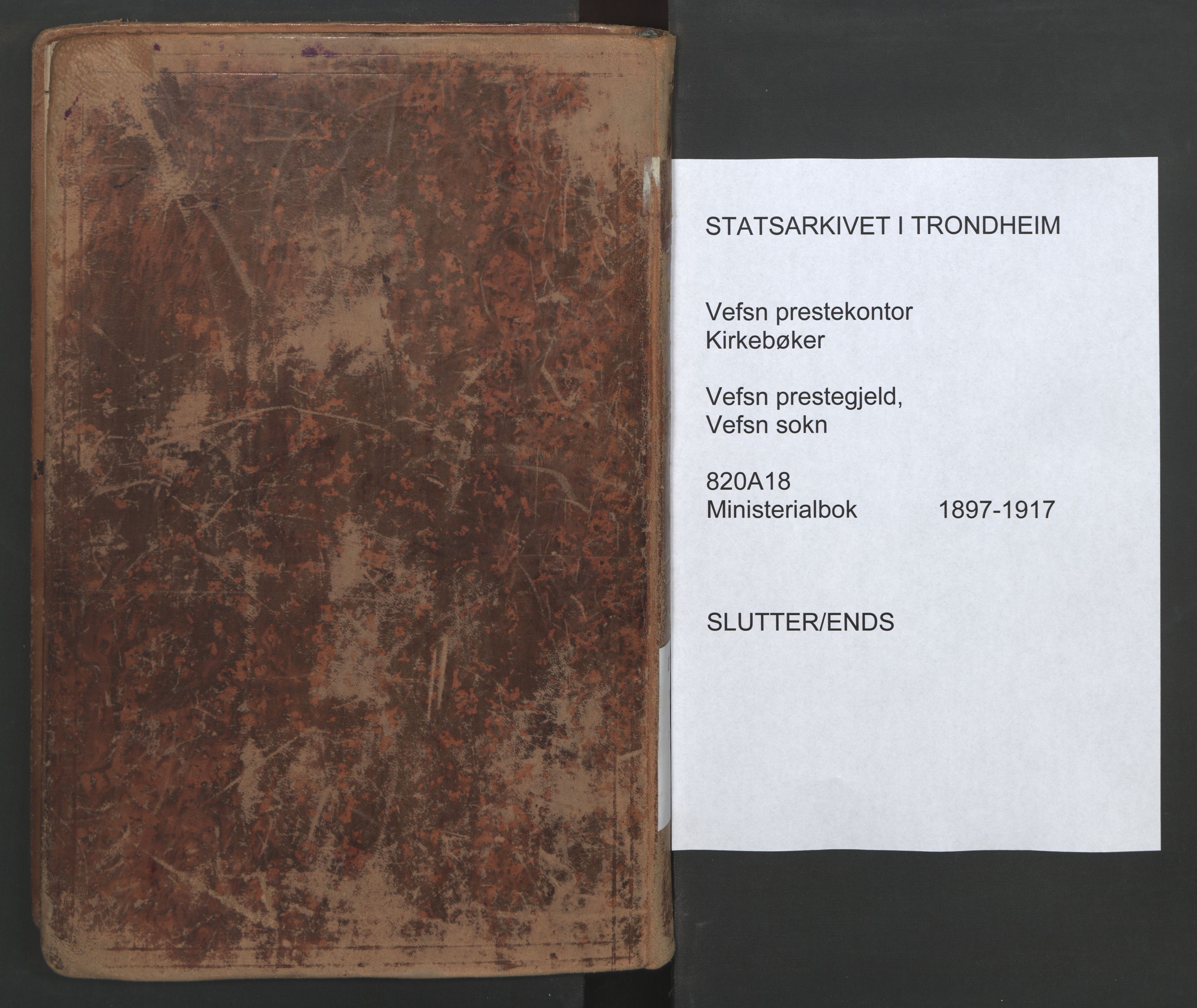 Ministerialprotokoller, klokkerbøker og fødselsregistre - Nordland, SAT/A-1459/820/L0297: Ministerialbok nr. 820A18, 1897-1917