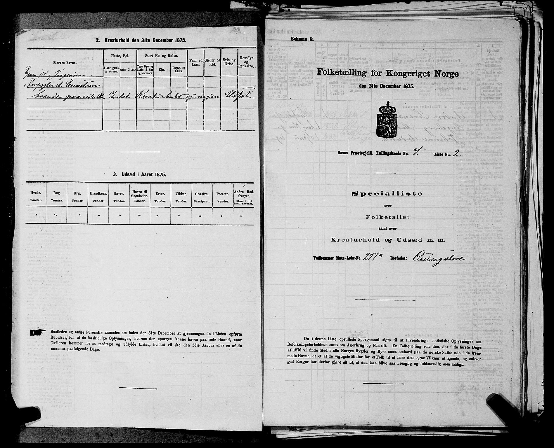 SAKO, Folketelling 1875 for 0721P Sem prestegjeld, 1875, s. 1135