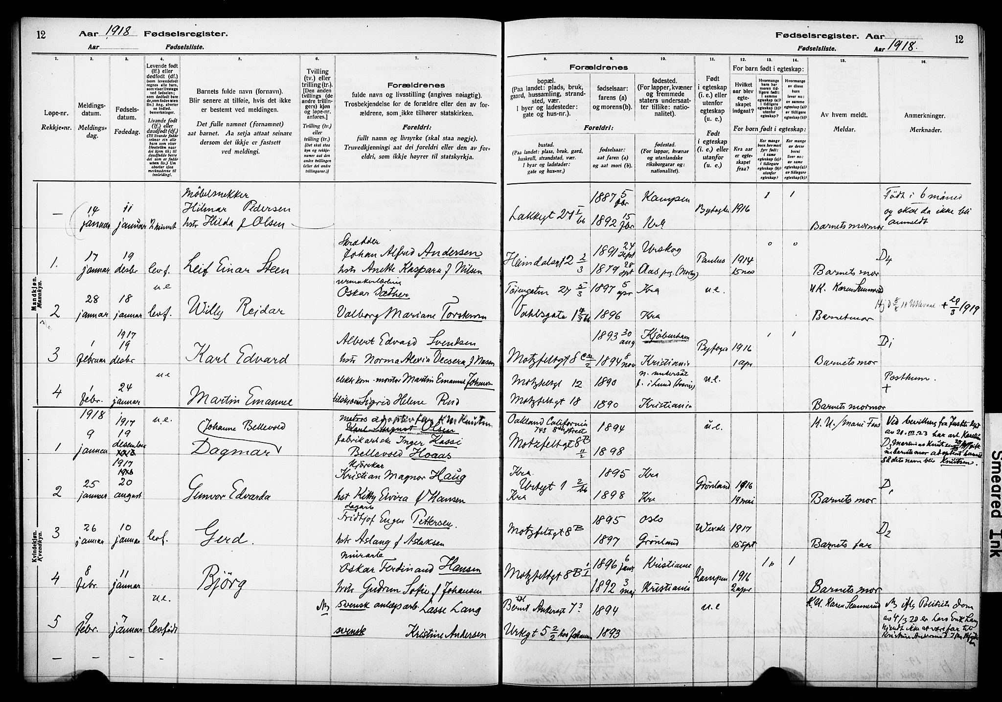 Wexel prestekontor Kirkebøker, AV/SAO-A-10879/J/L0001: Fødselsregister nr. 1, 1916-1930, s. 12