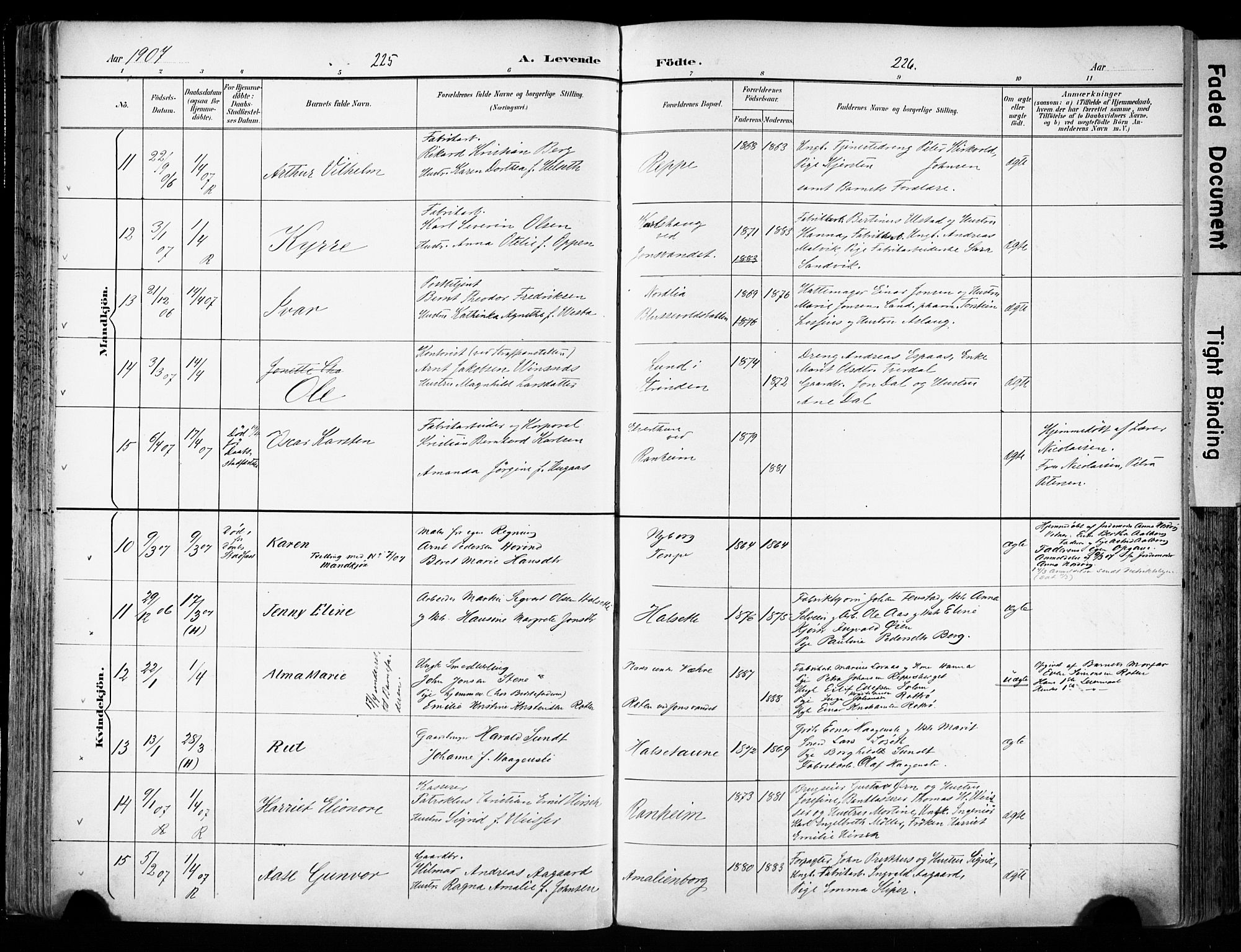 Ministerialprotokoller, klokkerbøker og fødselsregistre - Sør-Trøndelag, SAT/A-1456/606/L0301: Ministerialbok nr. 606A16, 1894-1907, s. 225-226