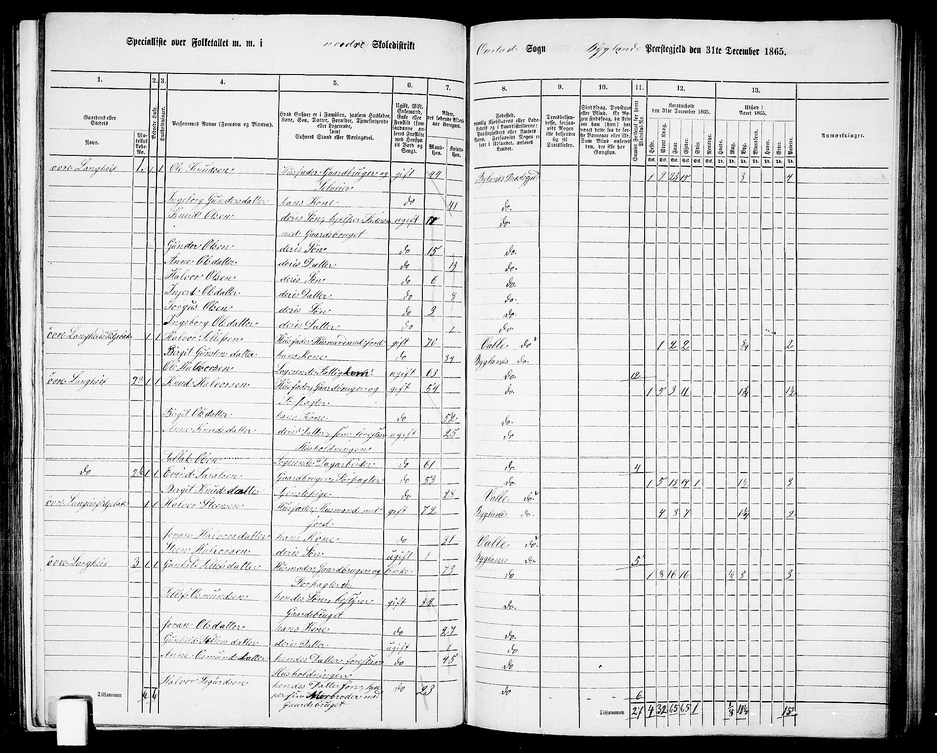 RA, Folketelling 1865 for 0938P Bygland prestegjeld, 1865, s. 6